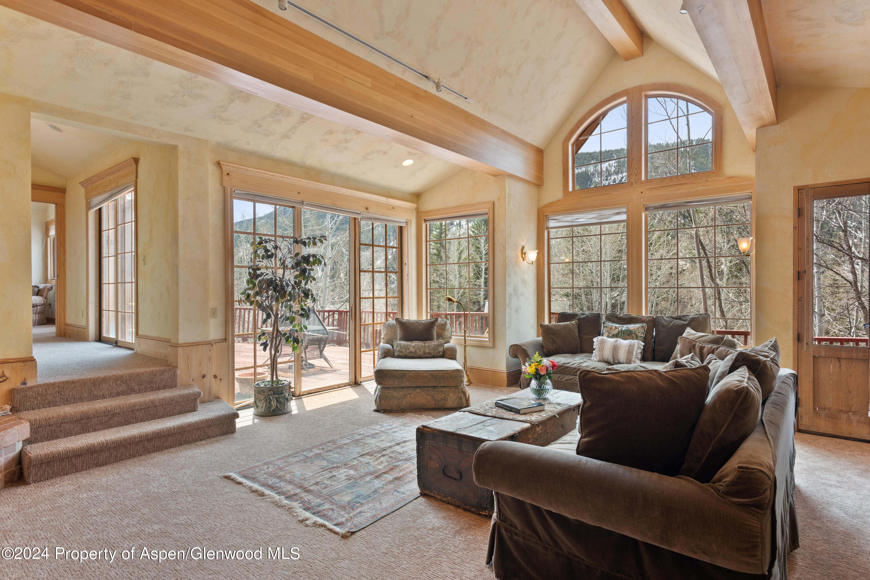 184 Mountain Laurel Drive Aspen CO 81611