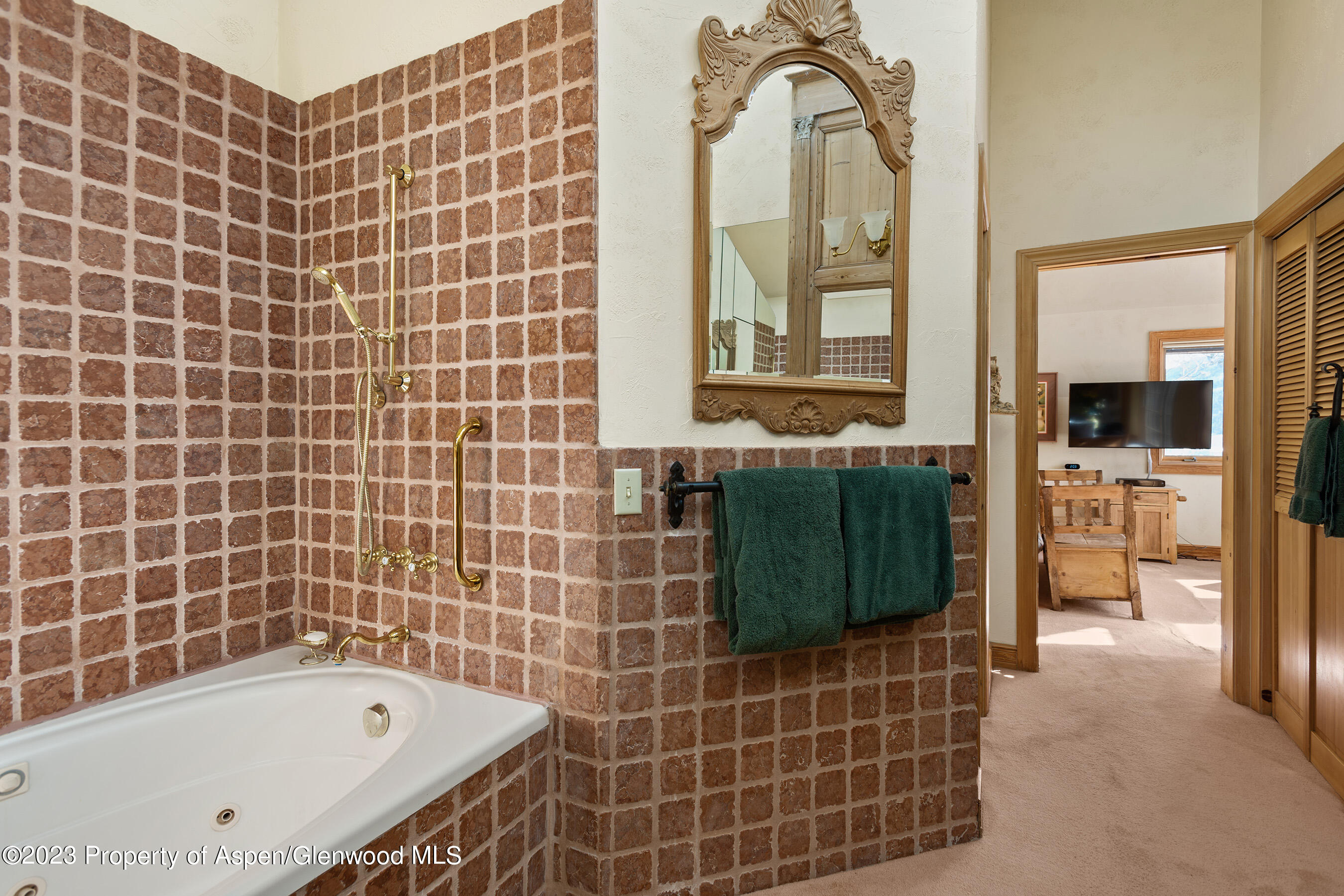 184 Mountain Laurel Drive Aspen CO 81611