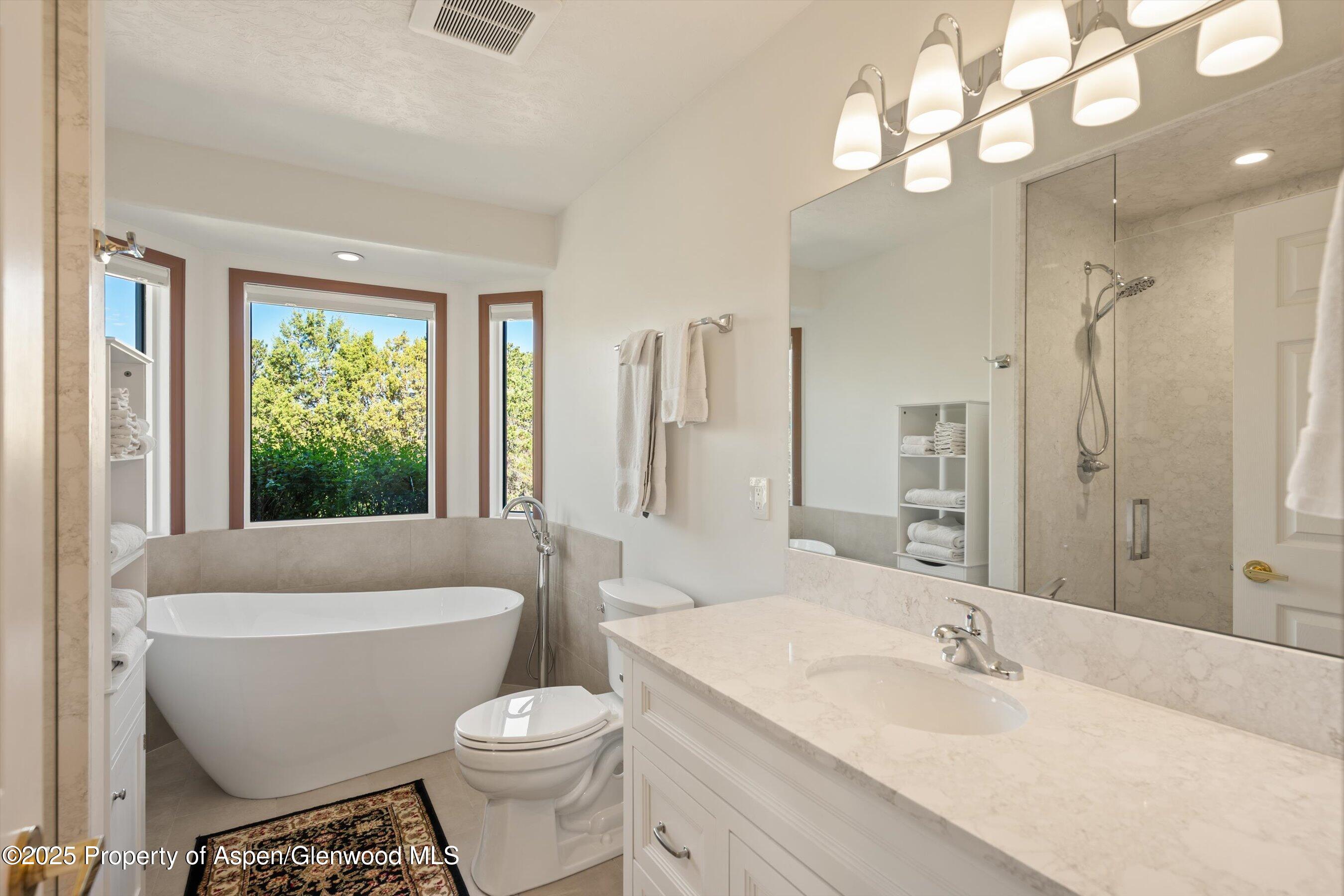 10 Cedar Cove Glenwood Springs CO 81601