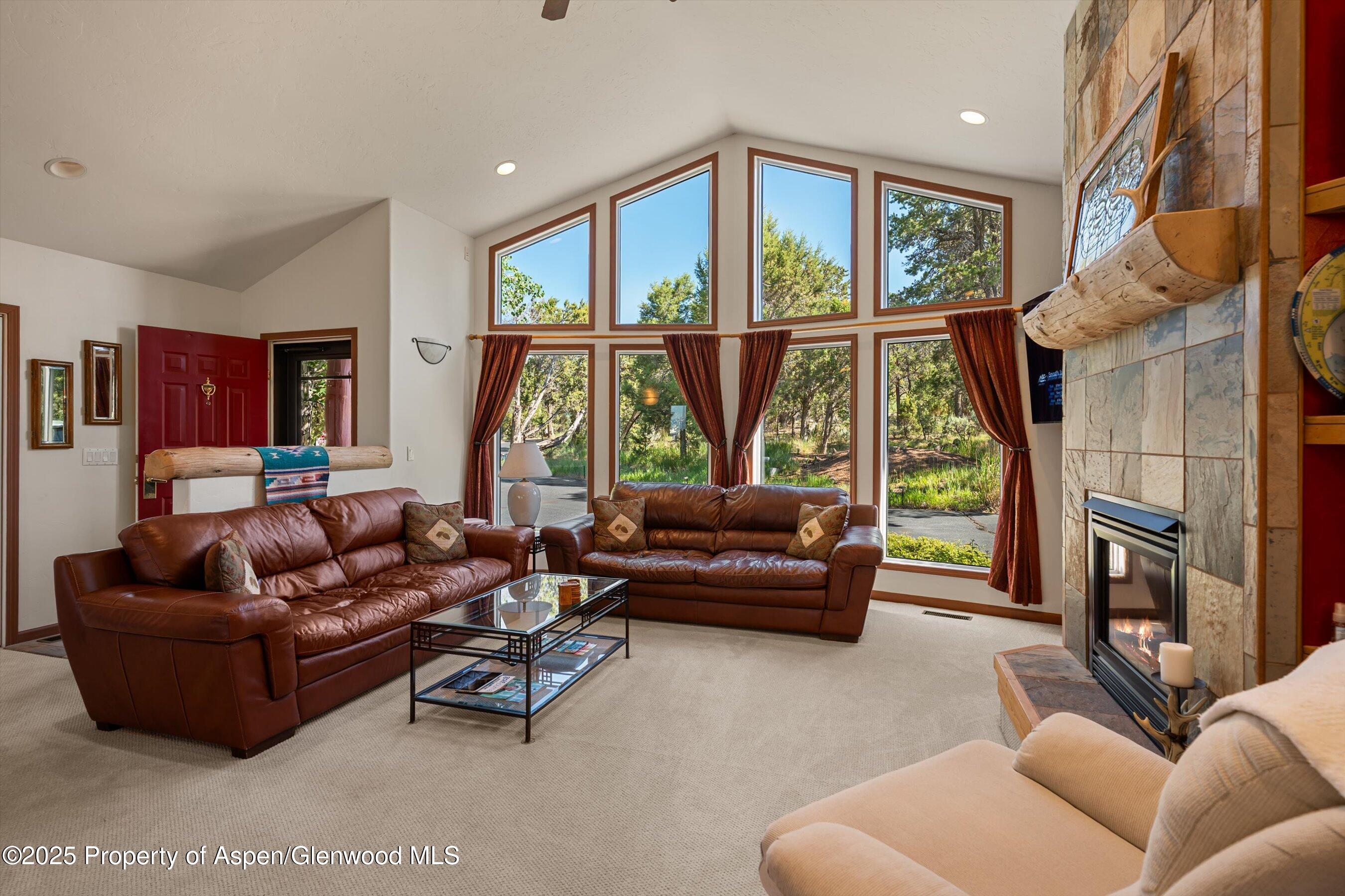 10 Cedar Cove Glenwood Springs CO 81601