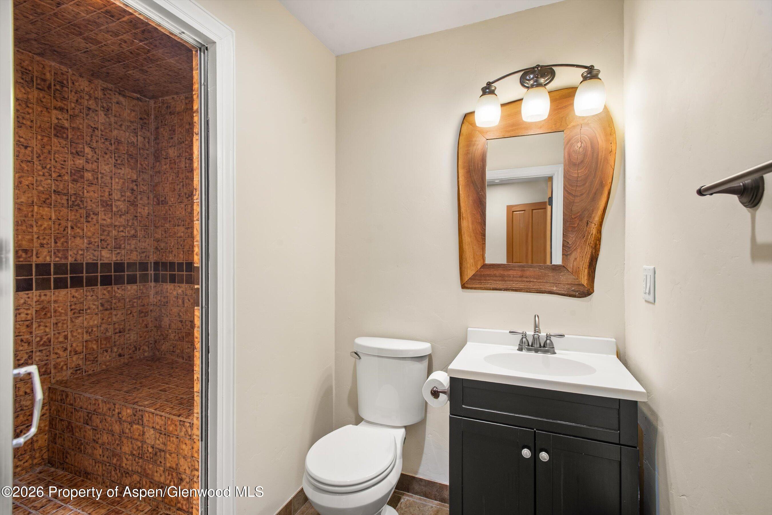 120 Arapahoe Carbondale CO 81623