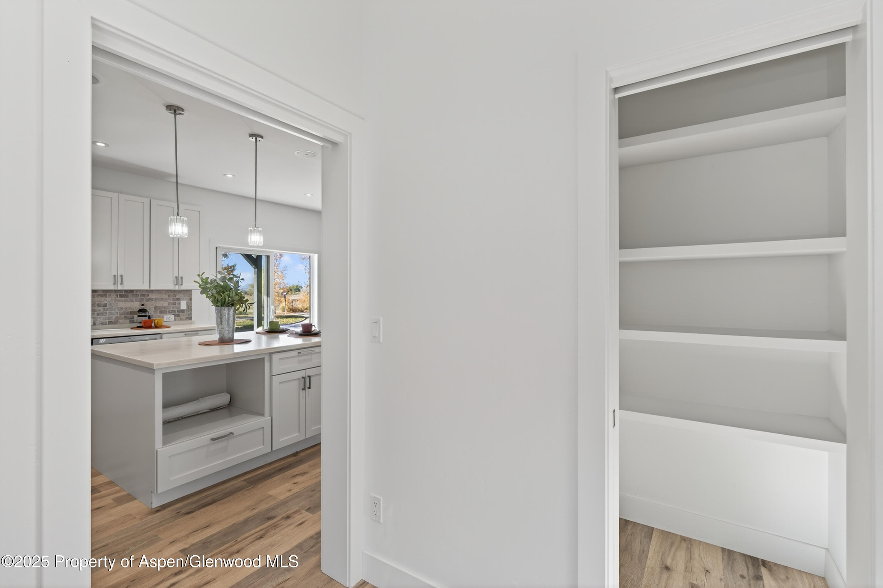 13 Belgian Court Silt CO 81652