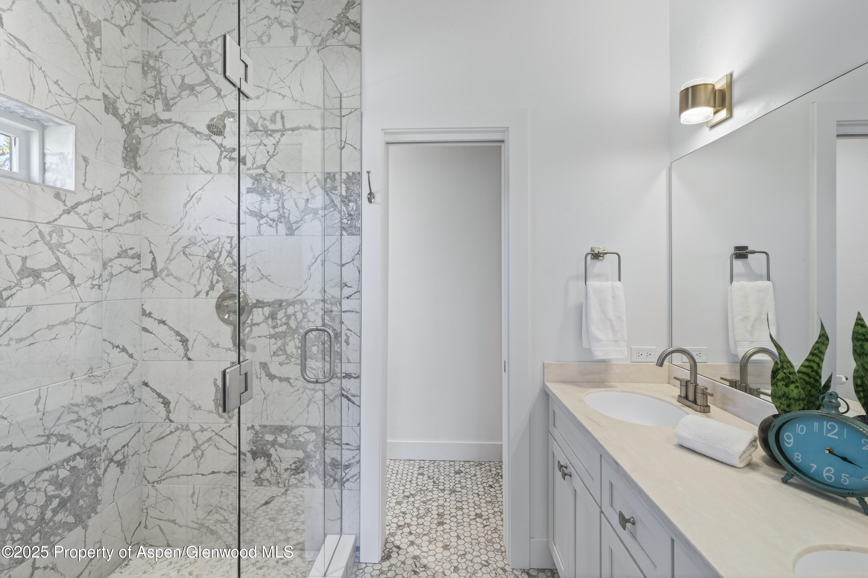 13 Belgian Court Silt CO 81652