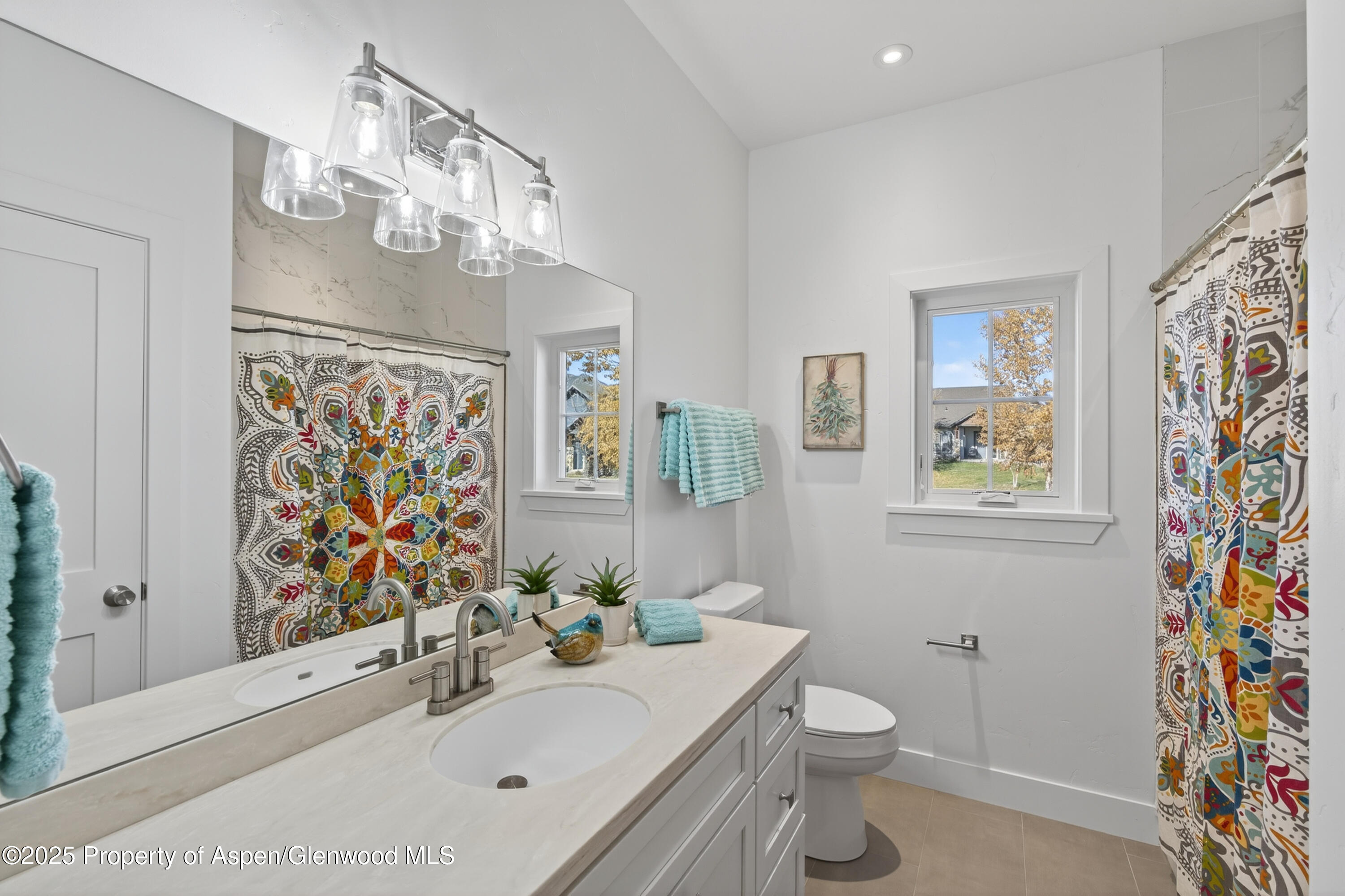 13 Belgian Court Silt CO 81652