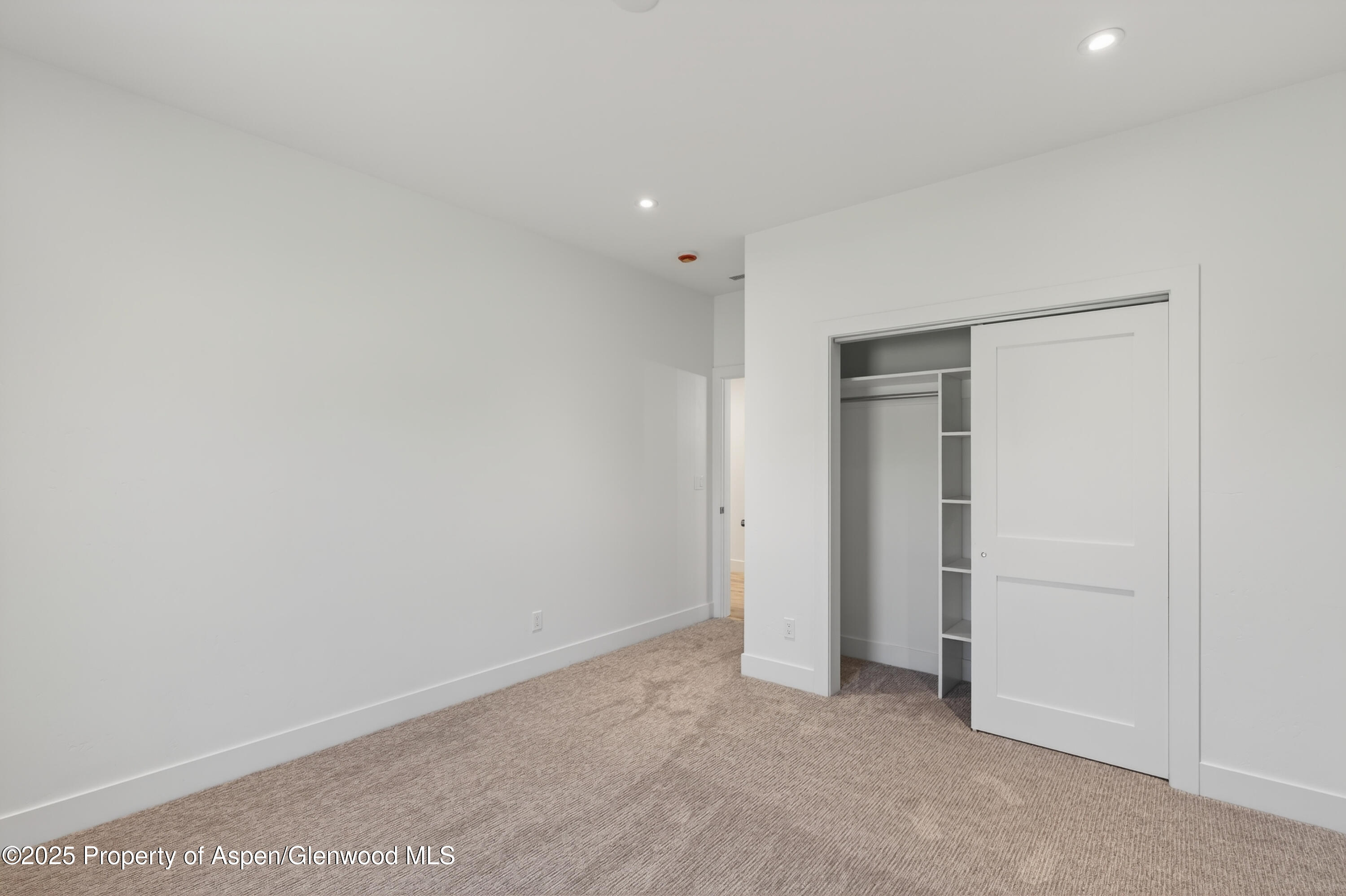 13 Belgian Court Silt CO 81652