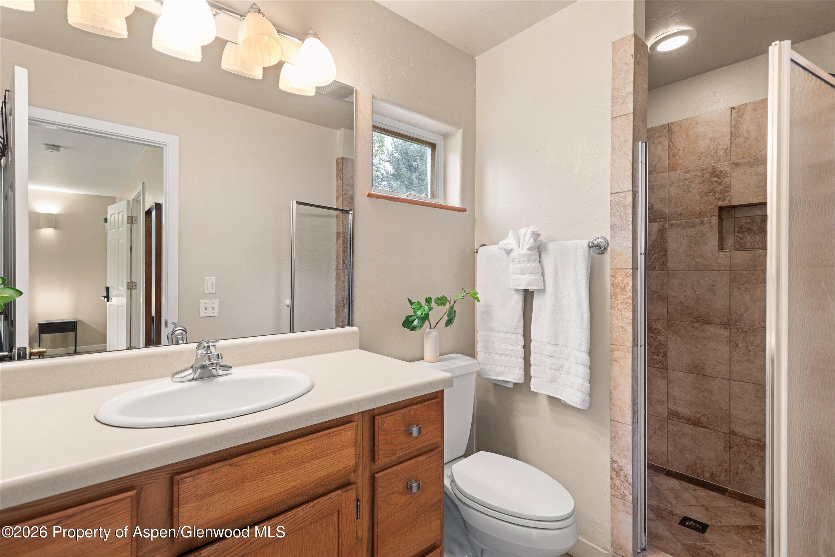 165 Summit Drive Carbondale CO 81623