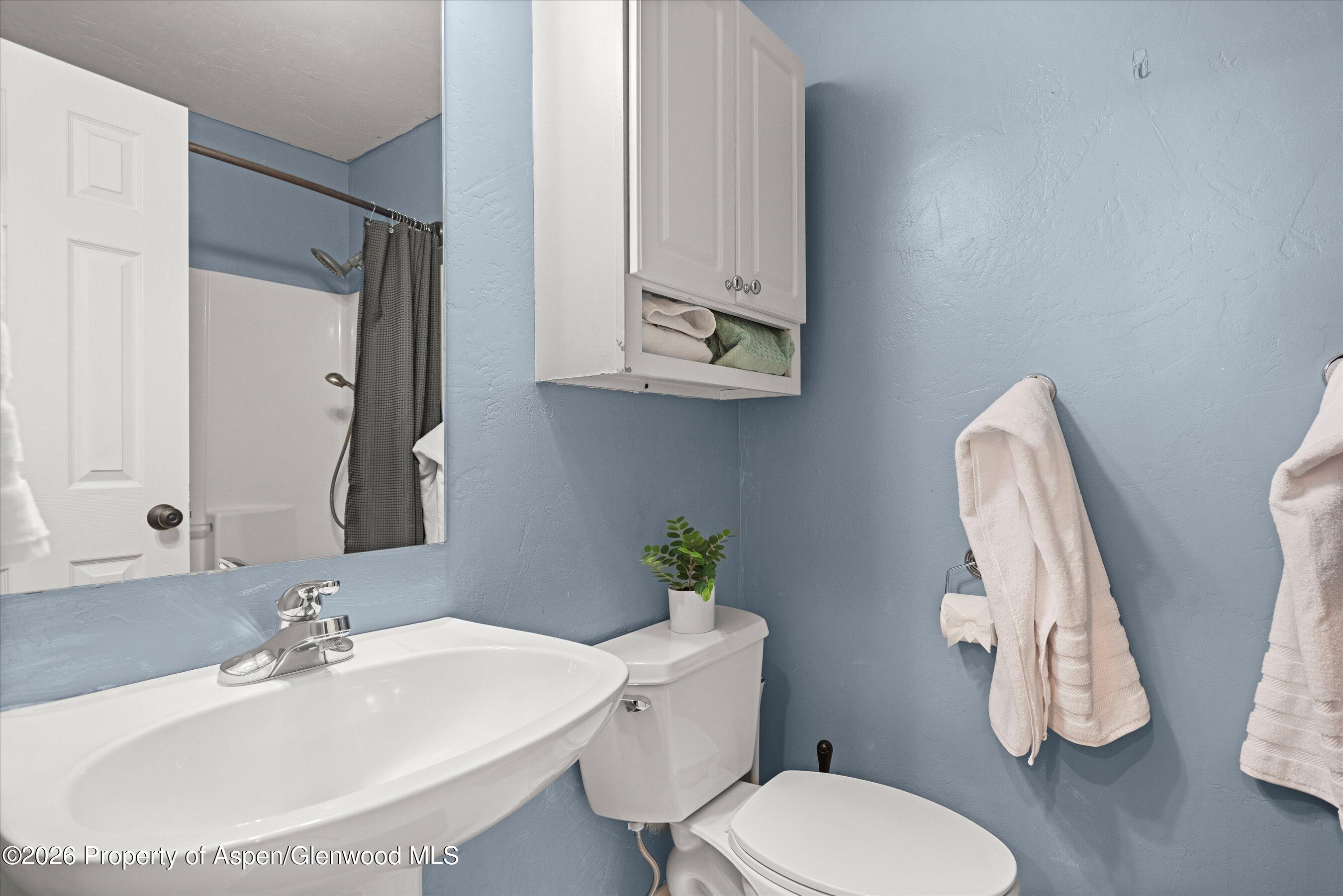 165 Summit Drive Carbondale CO 81623