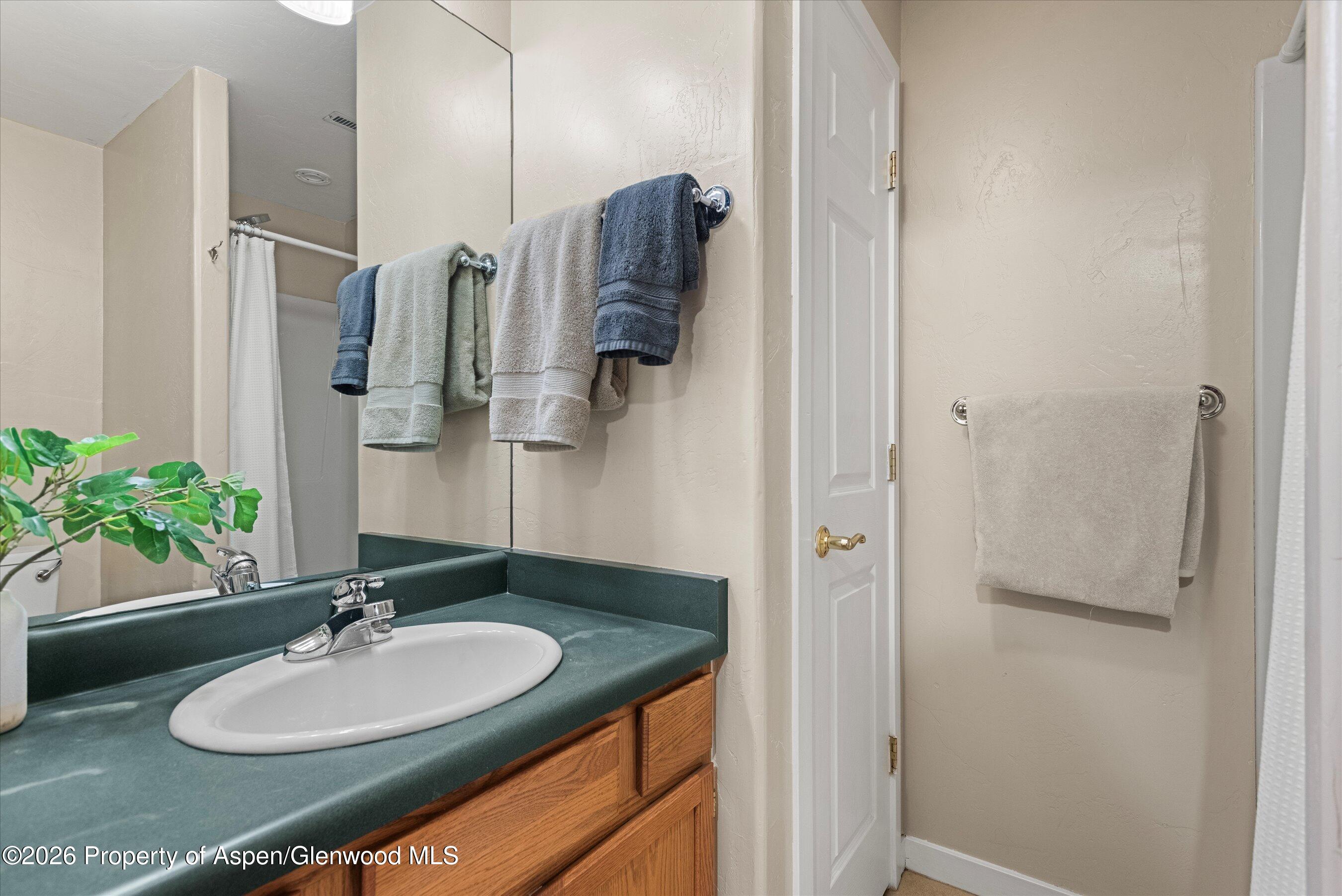 165 Summit Drive Carbondale CO 81623