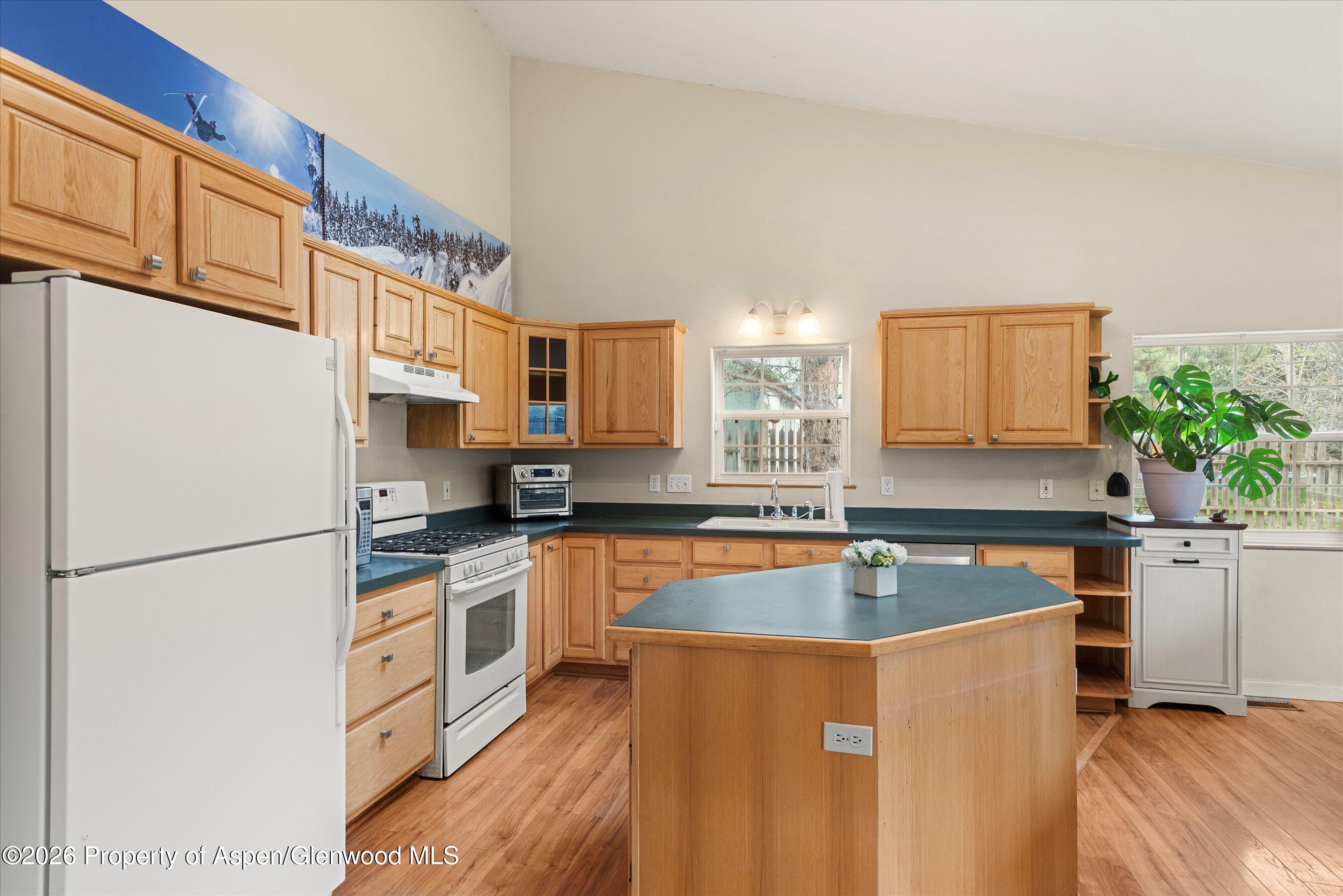 165 Summit Drive Carbondale CO 81623