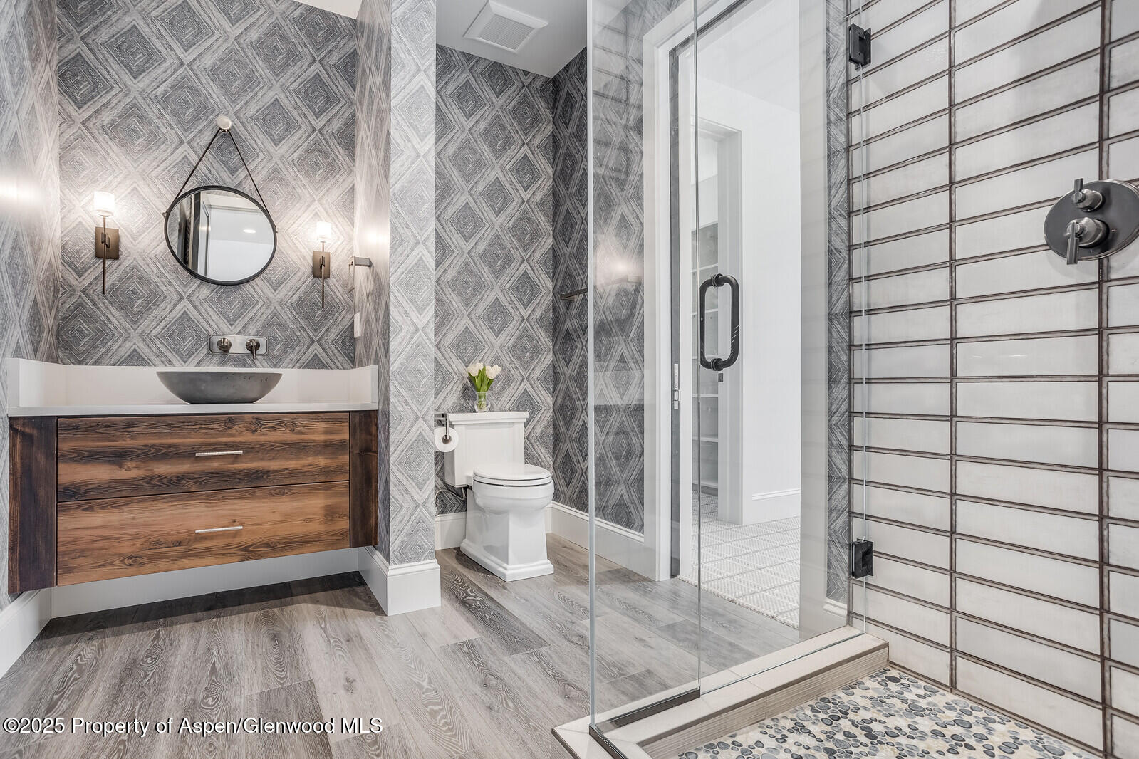 21 Tellico Court Carbondale CO 81623