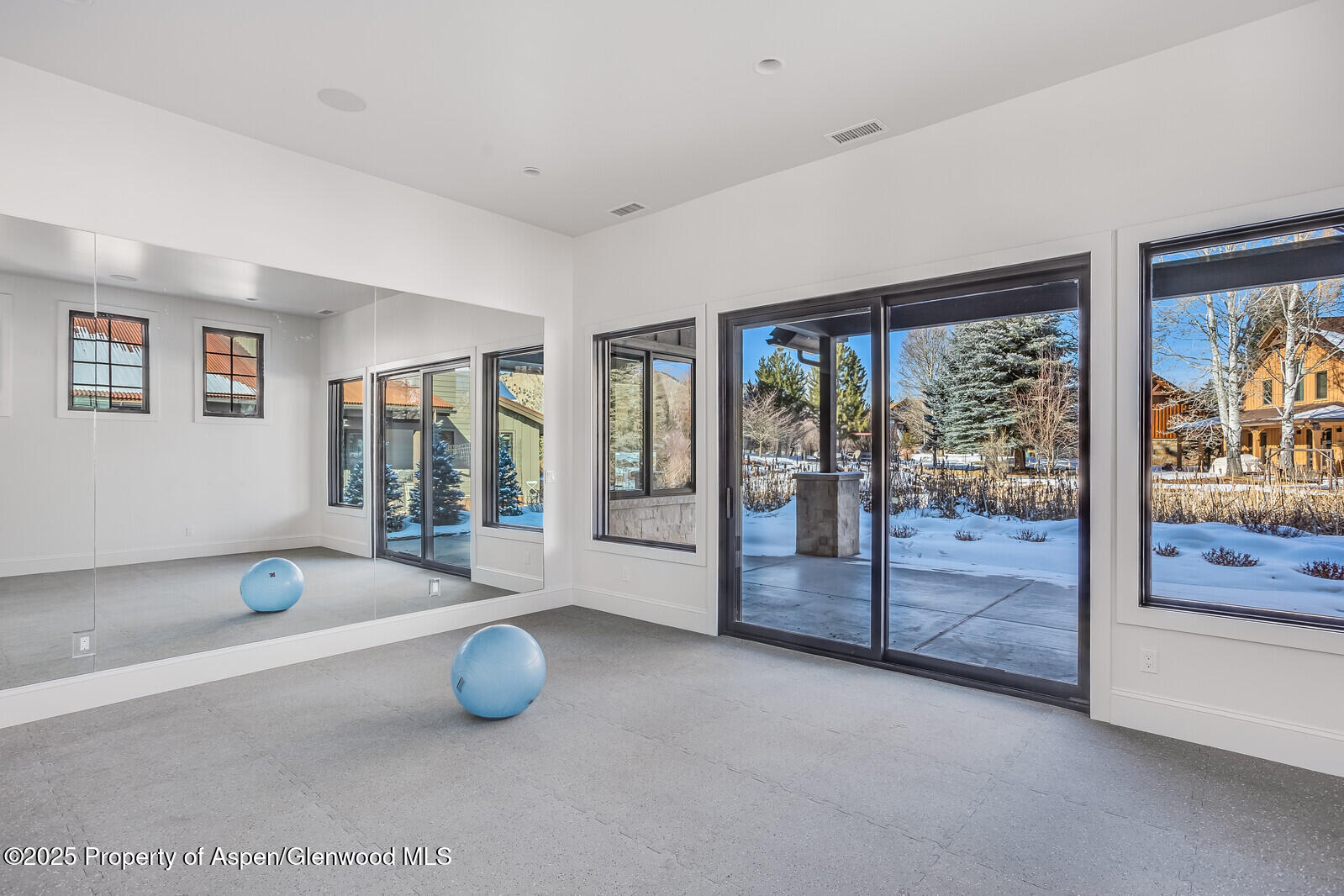 21 Tellico Court Carbondale CO 81623