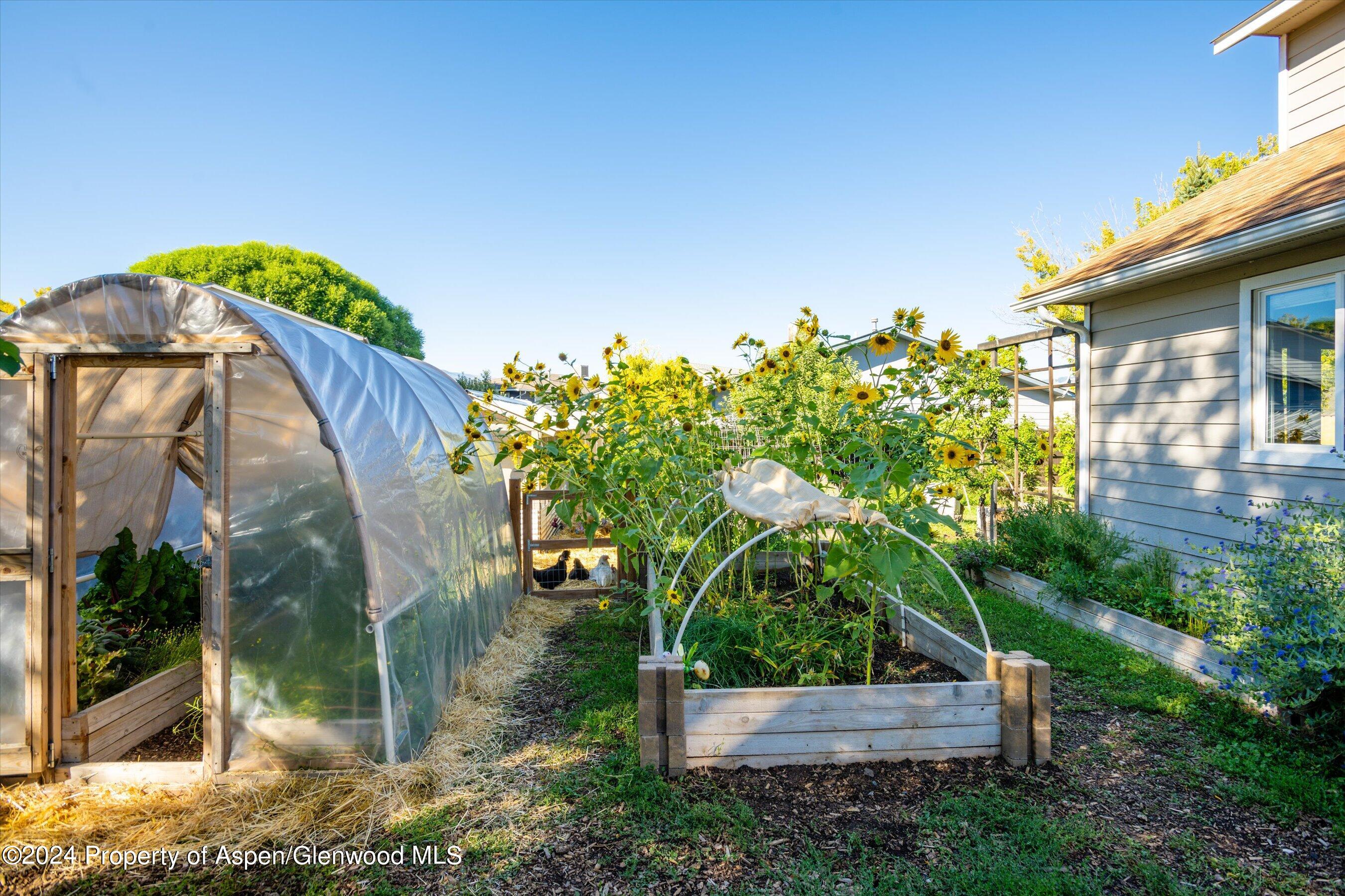 2440 Ute Avenue Rifle CO 81650