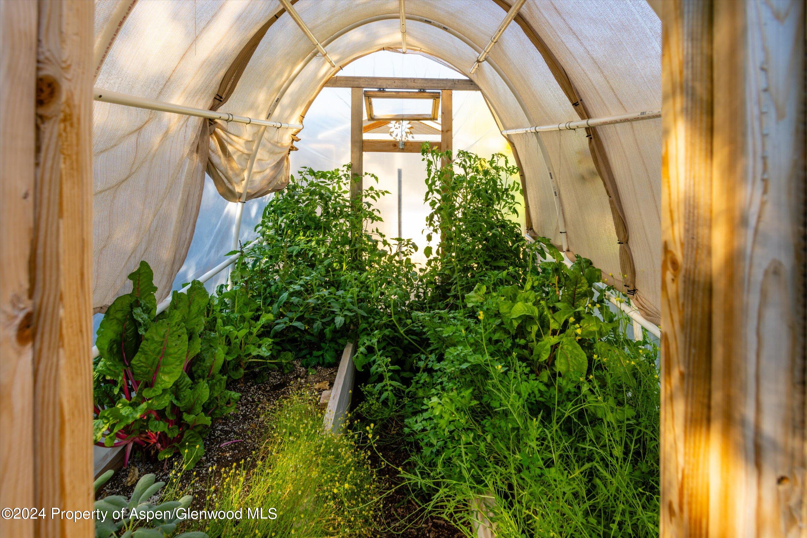 2440 Ute Avenue Rifle CO 81650