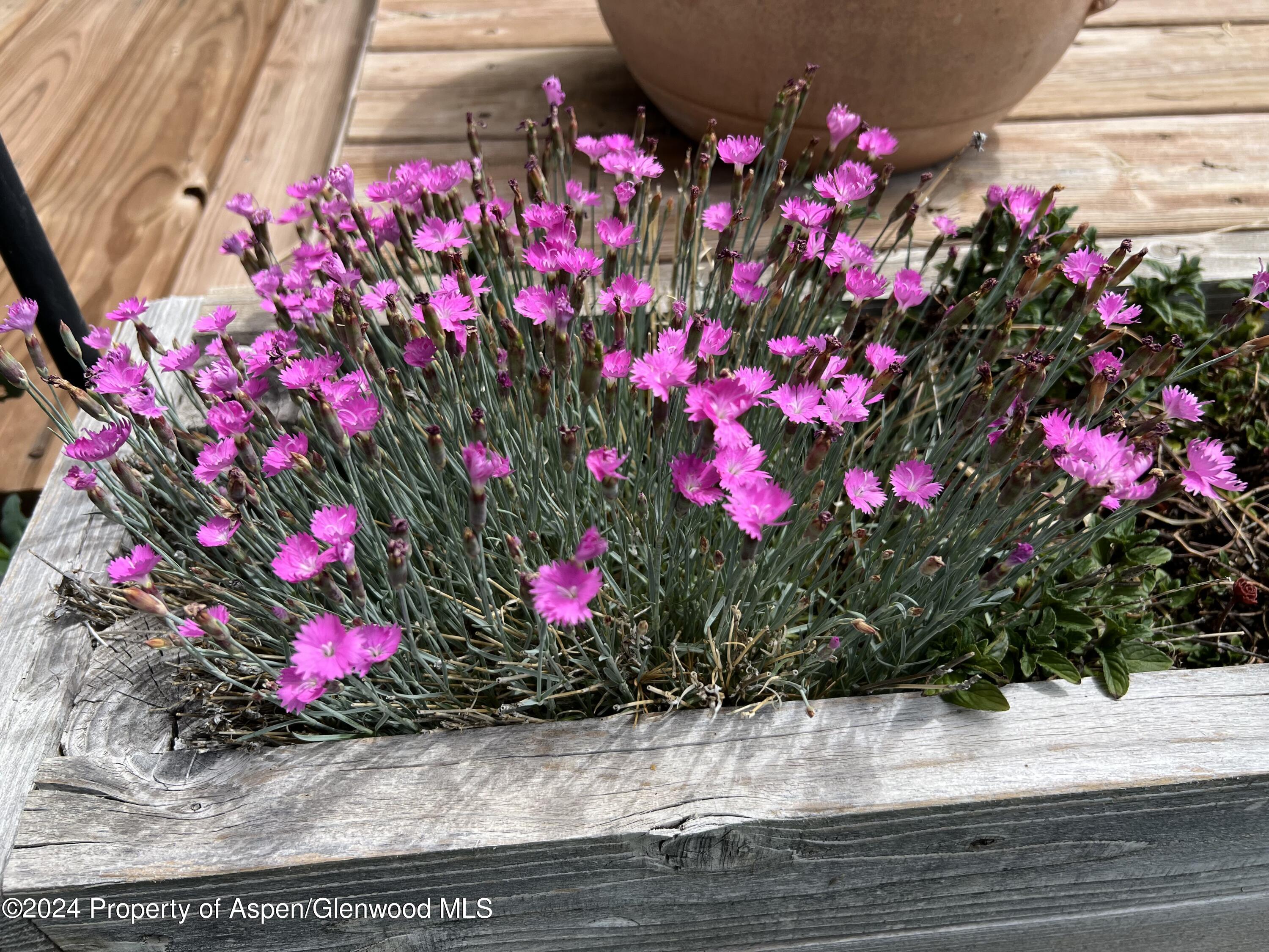 2440 Ute Avenue Rifle CO 81650