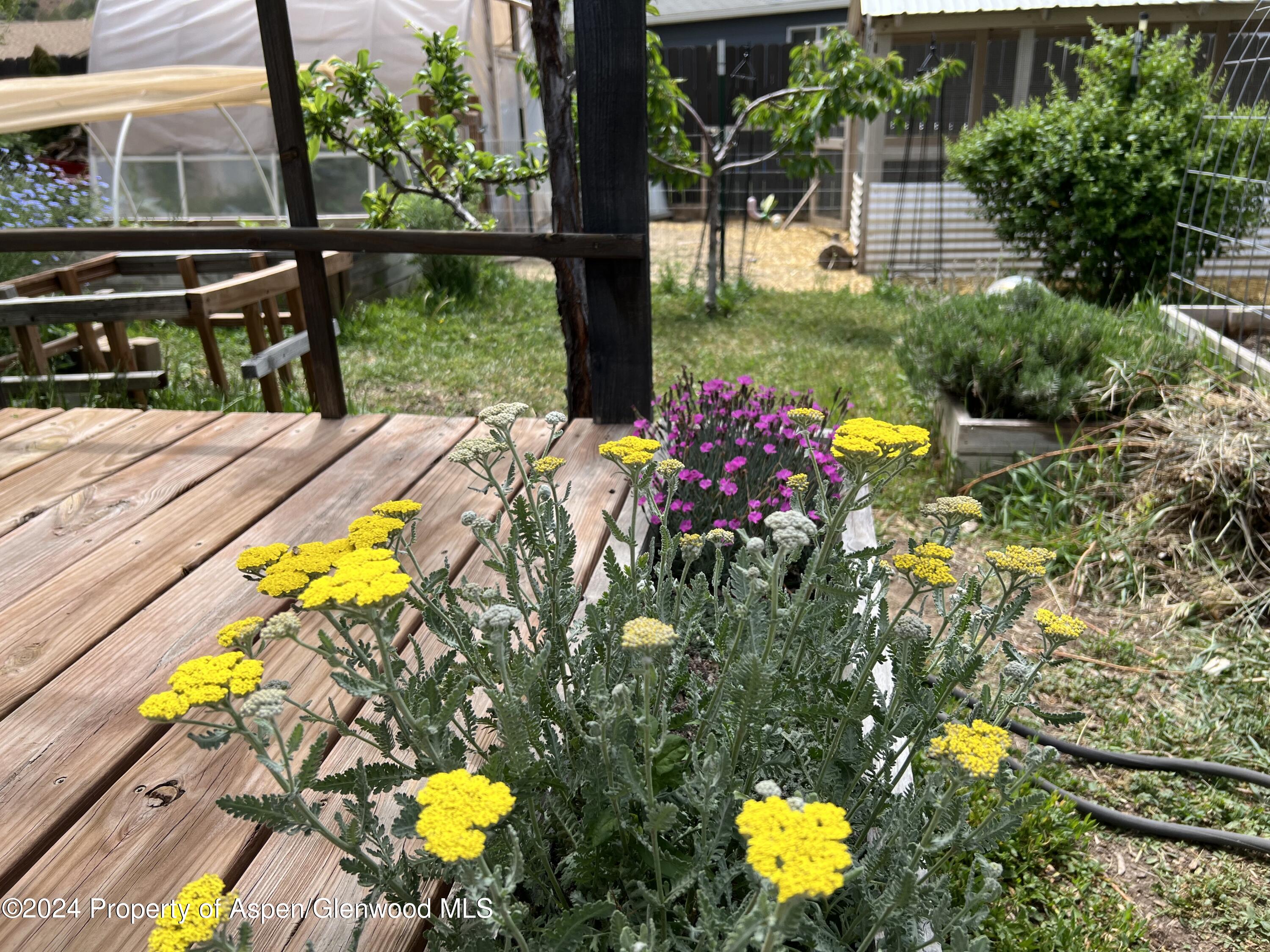 2440 Ute Avenue Rifle CO 81650