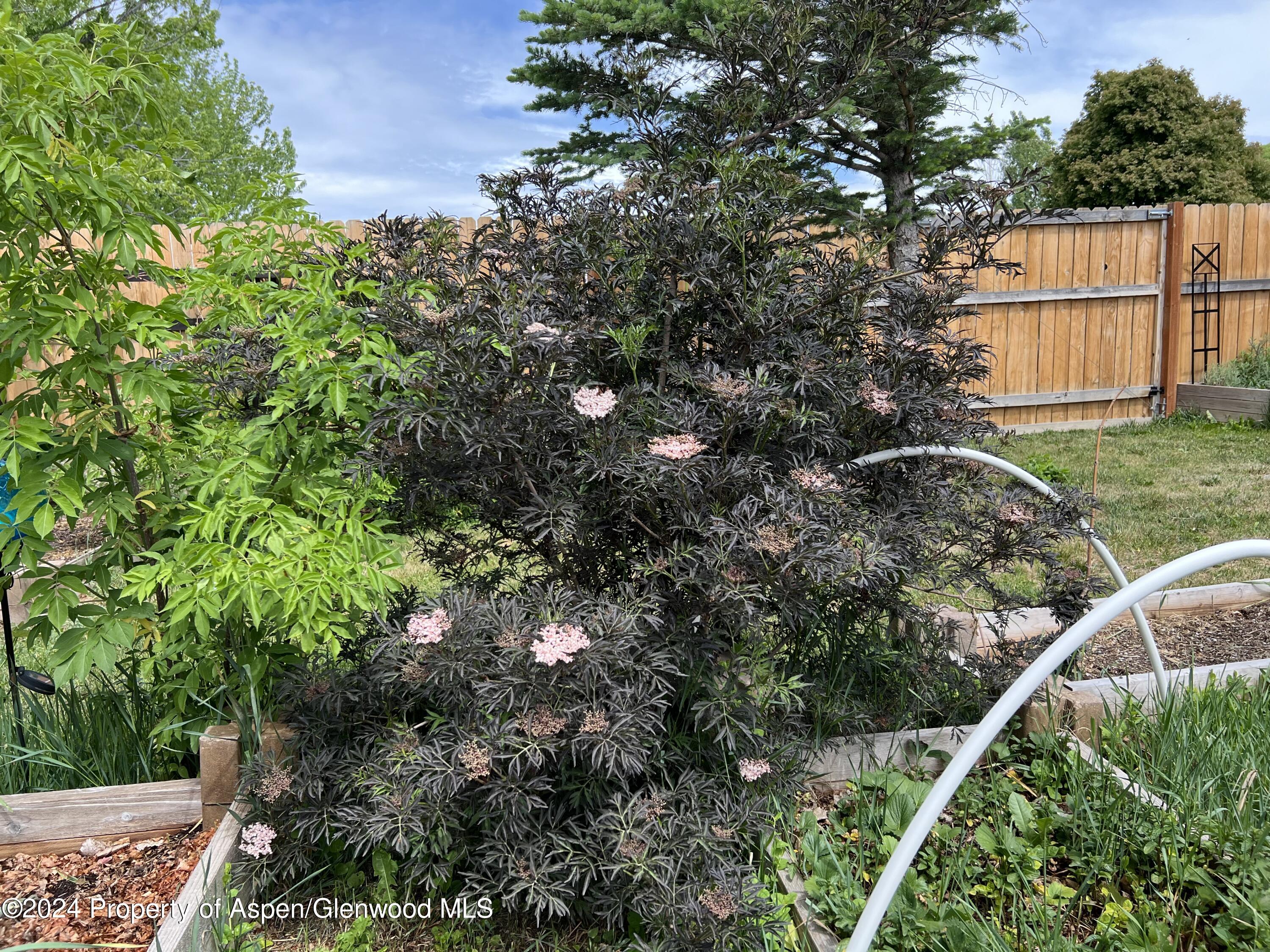 2440 Ute Avenue Rifle CO 81650