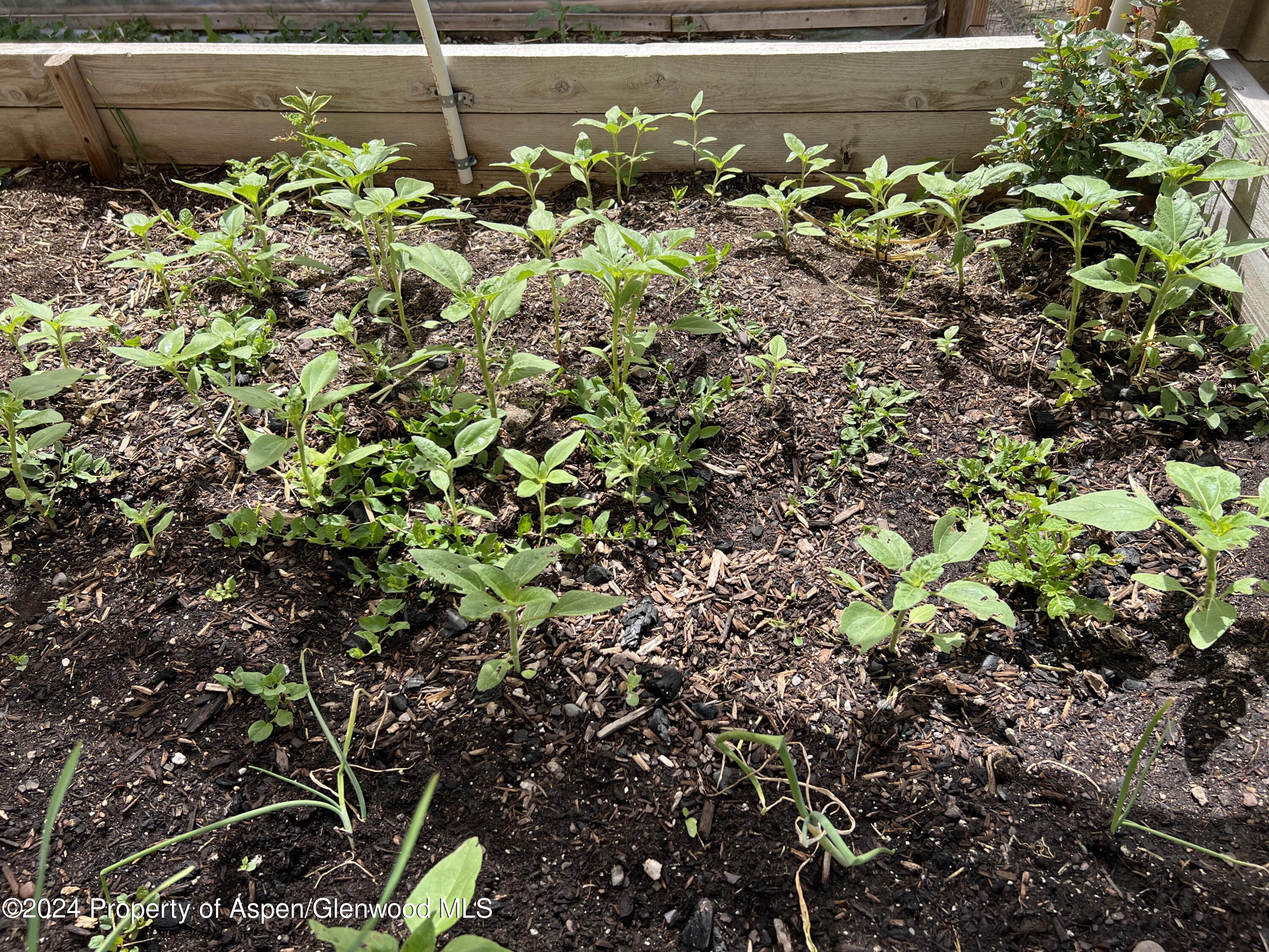 2440 Ute Avenue Rifle CO 81650