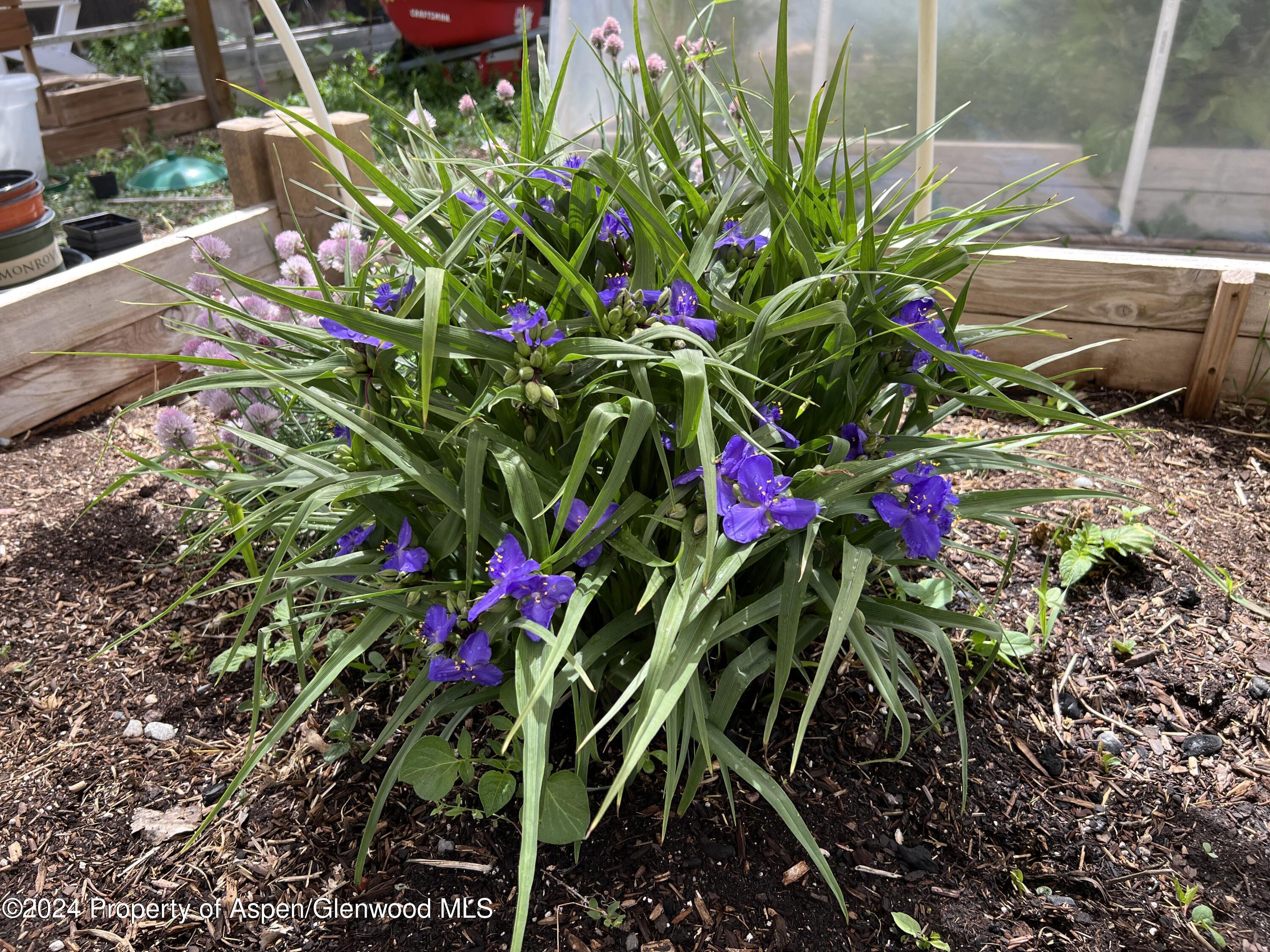 2440 Ute Avenue Rifle CO 81650