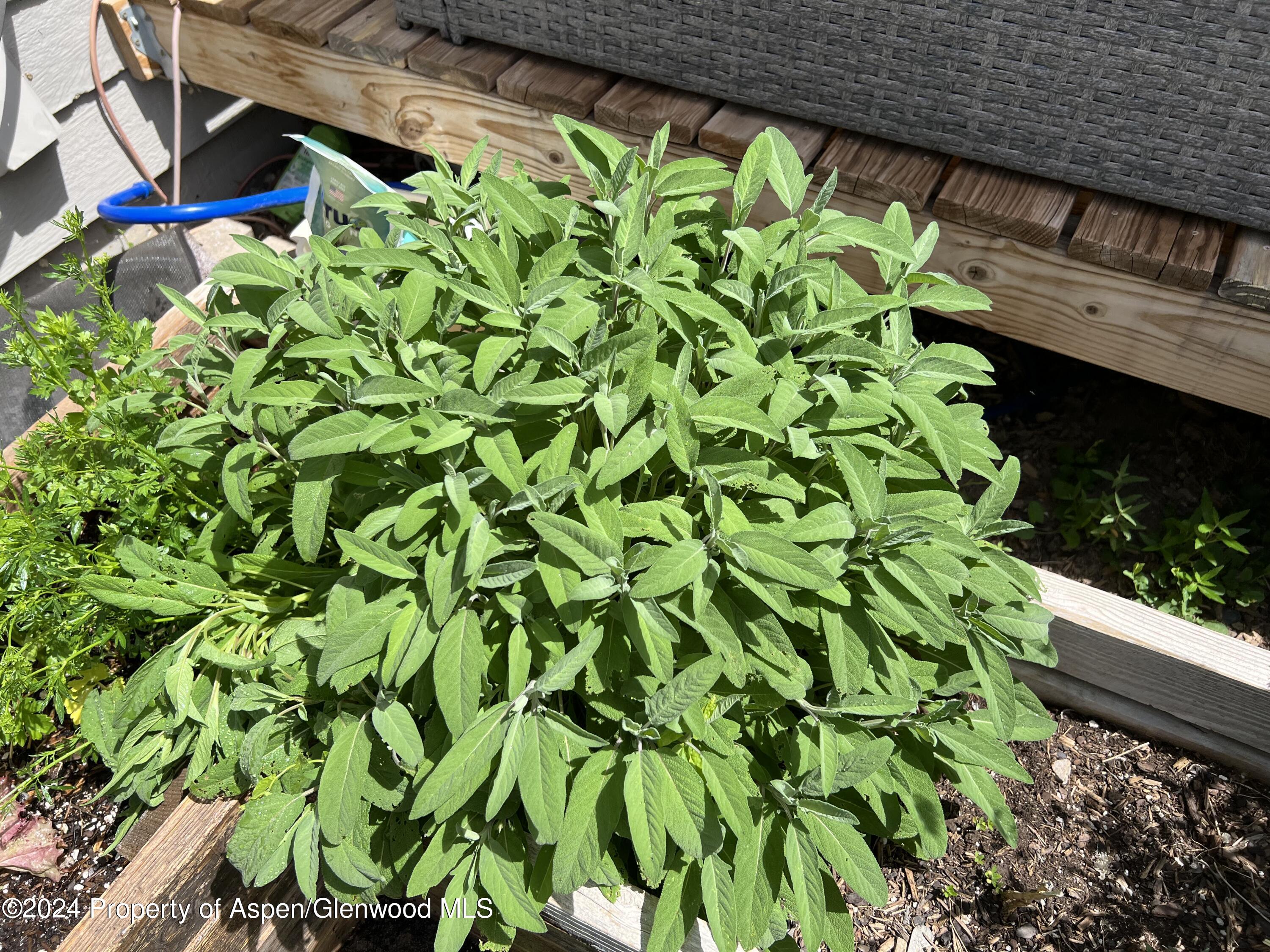 2440 Ute Avenue Rifle CO 81650