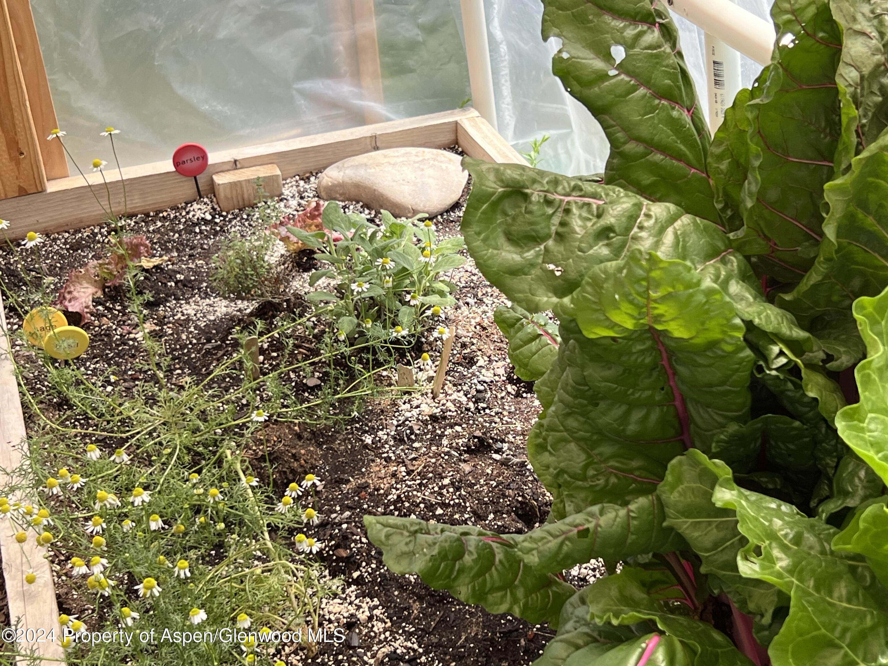 2440 Ute Avenue Rifle CO 81650