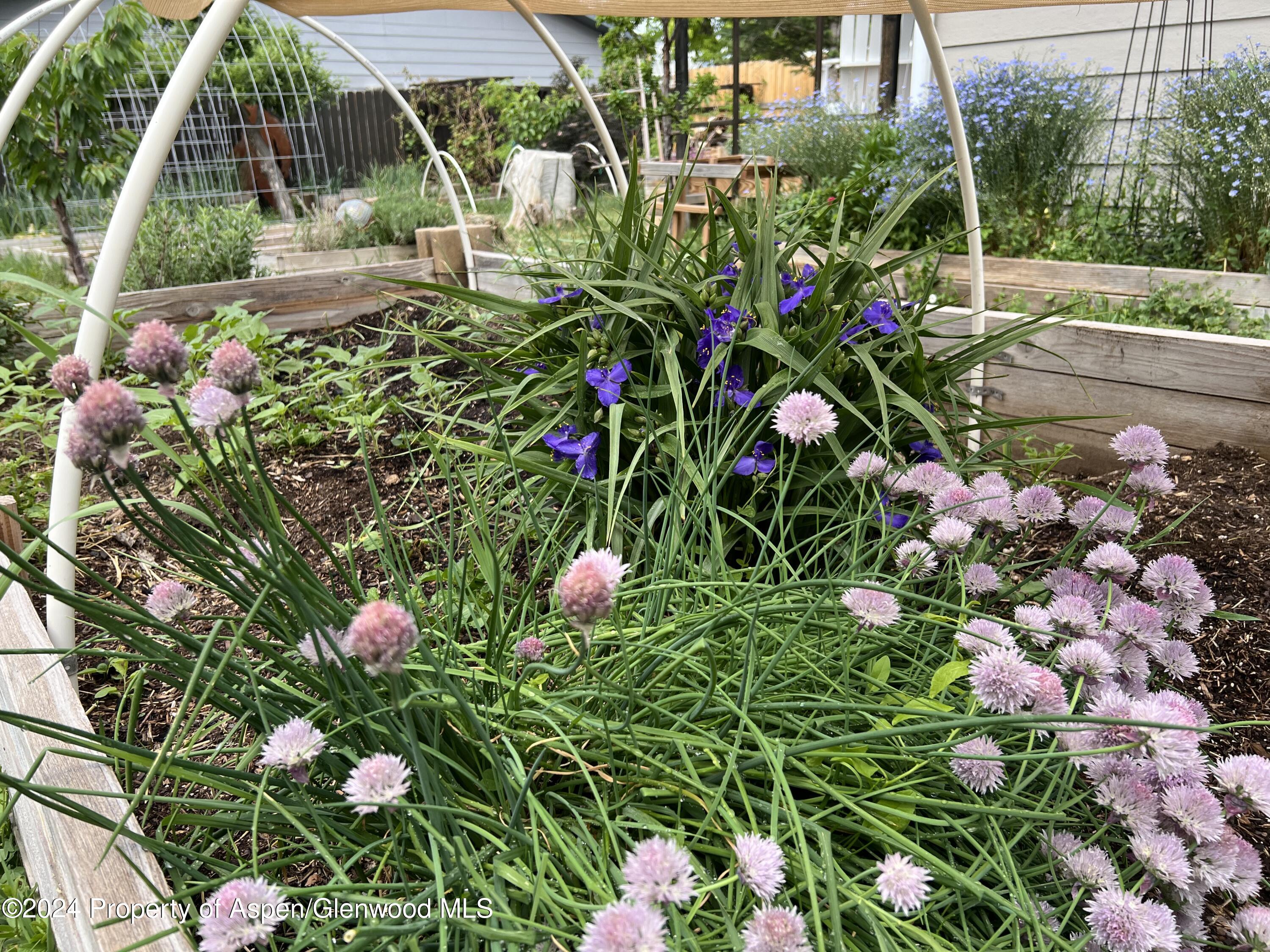 2440 Ute Avenue Rifle CO 81650