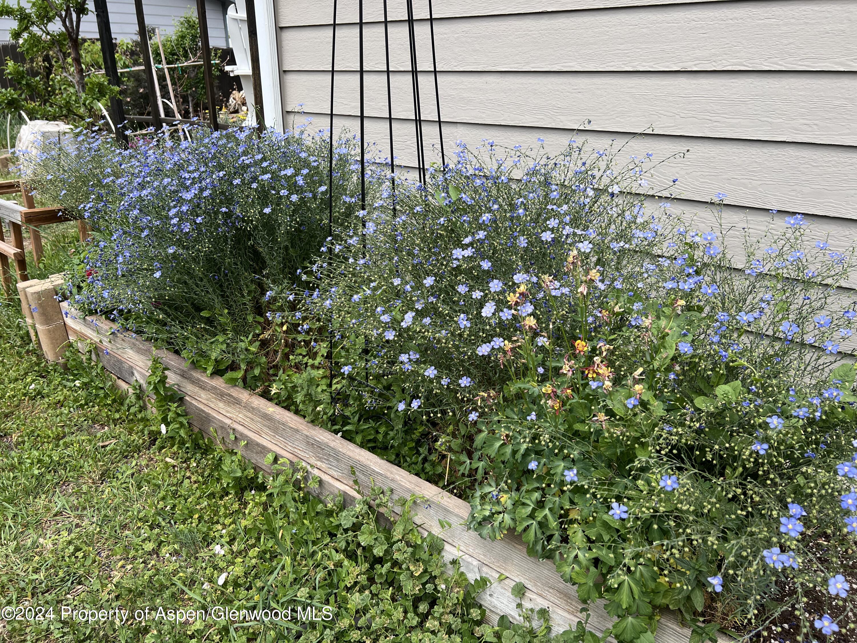 2440 Ute Avenue Rifle CO 81650