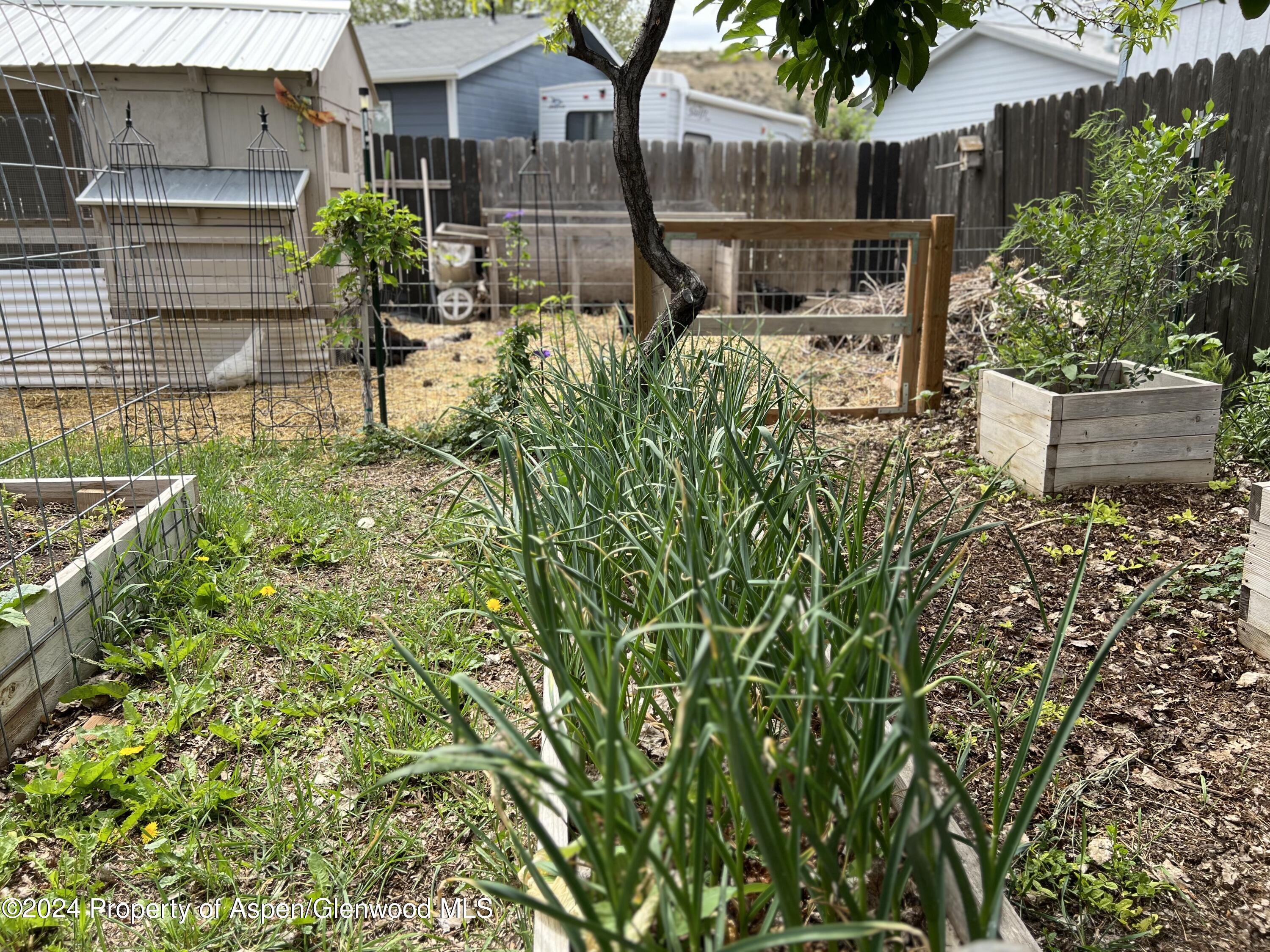 2440 Ute Avenue Rifle CO 81650