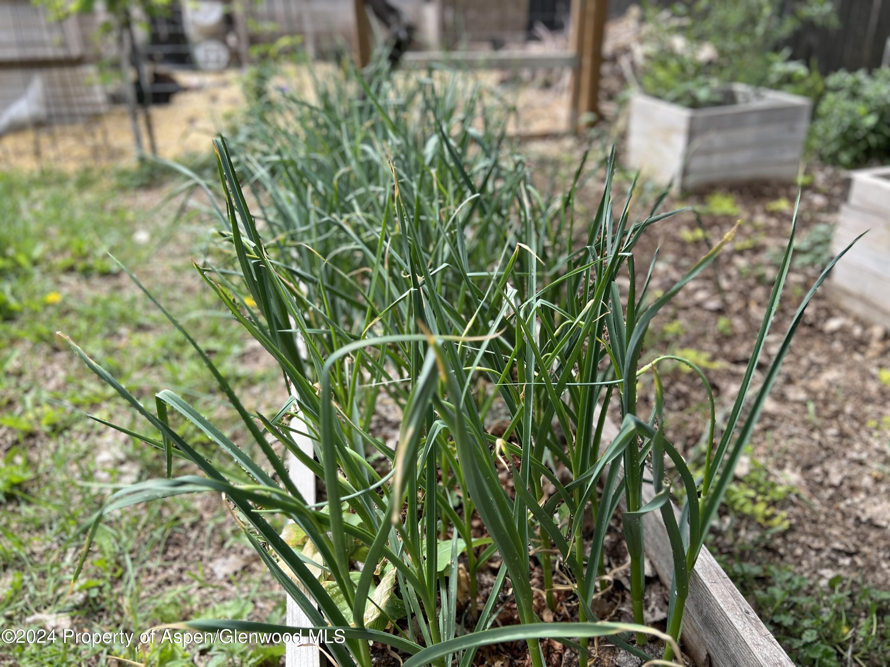 2440 Ute Avenue Rifle CO 81650