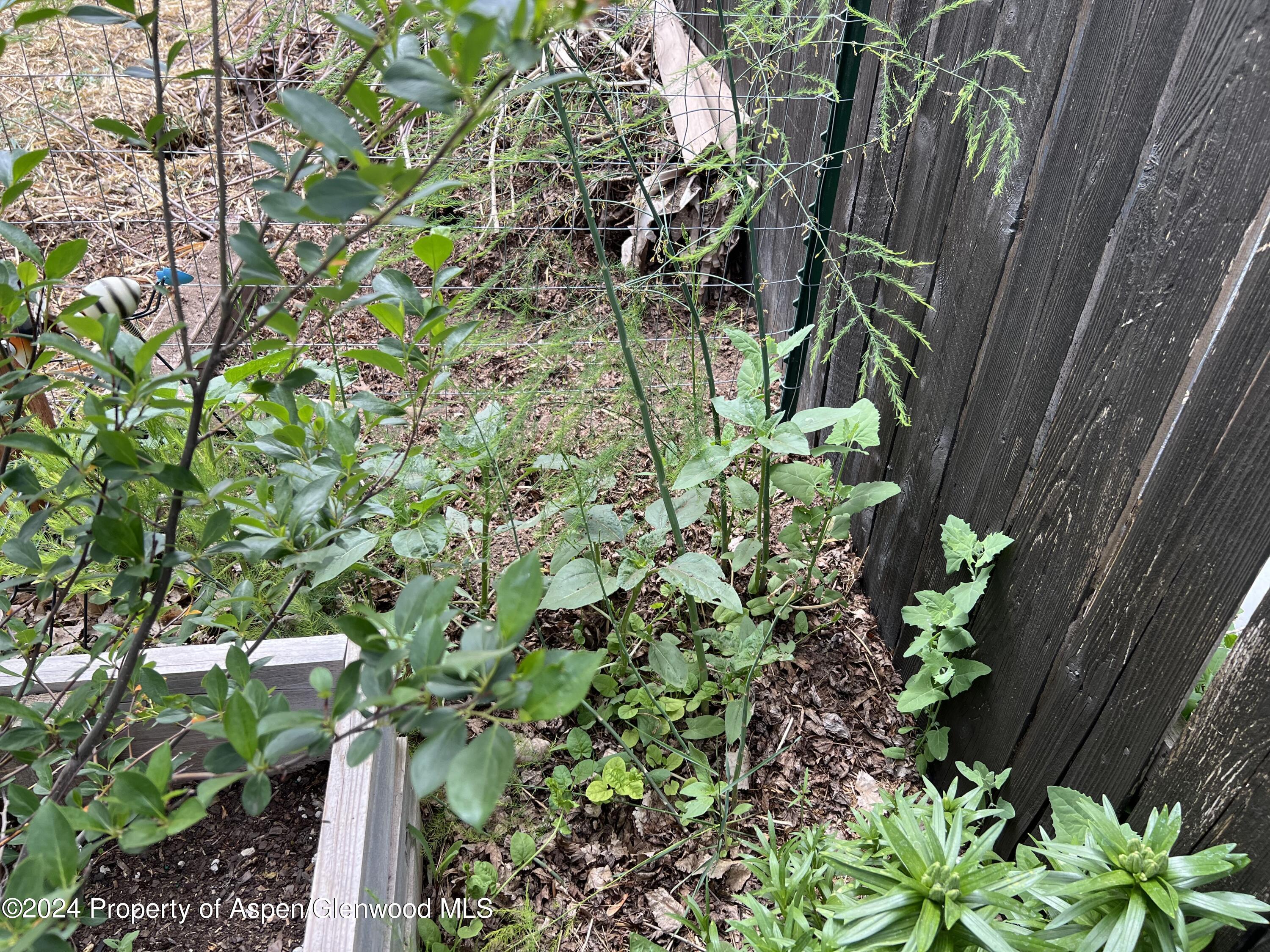 2440 Ute Avenue Rifle CO 81650