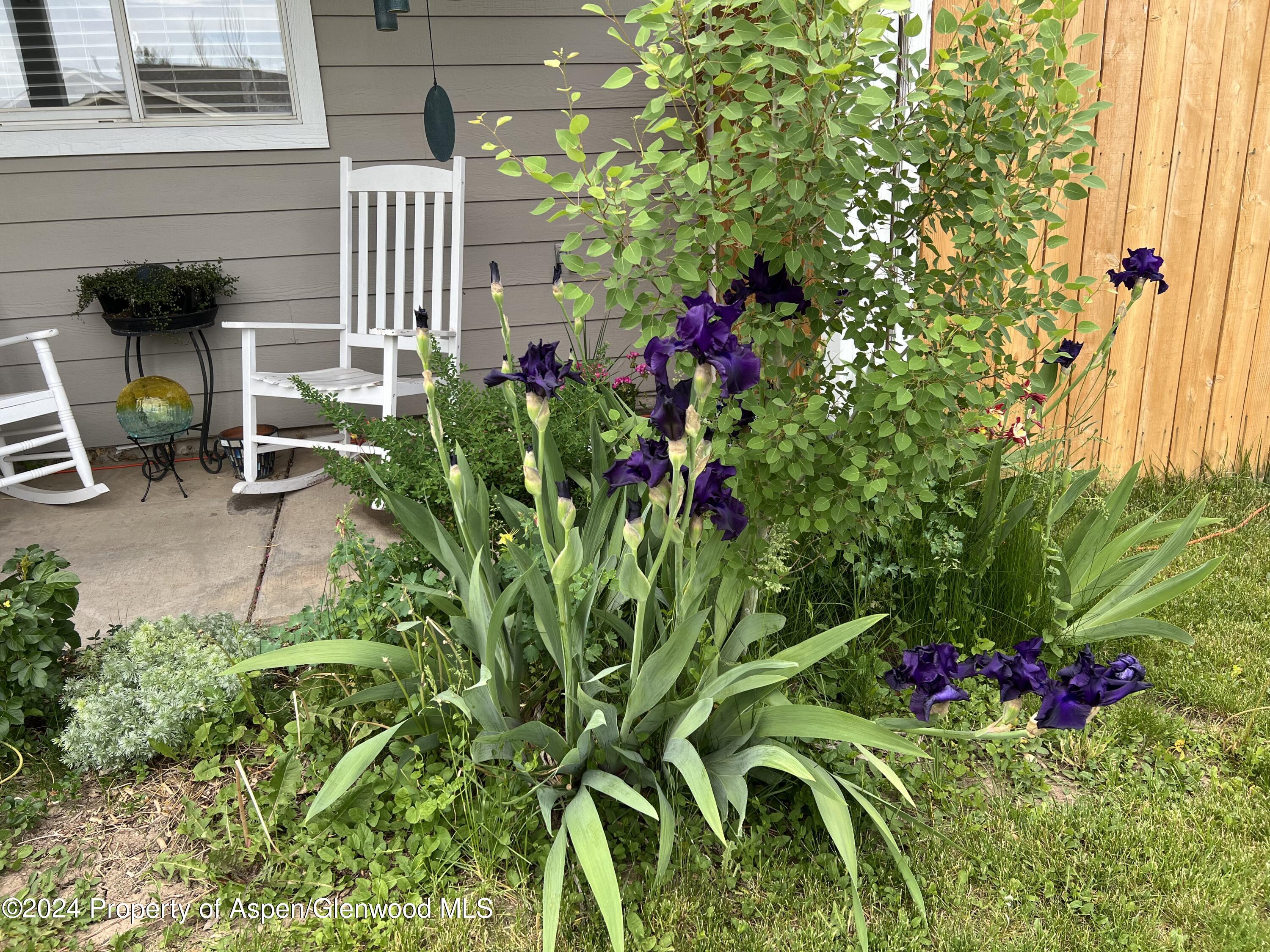 2440 Ute Avenue Rifle CO 81650