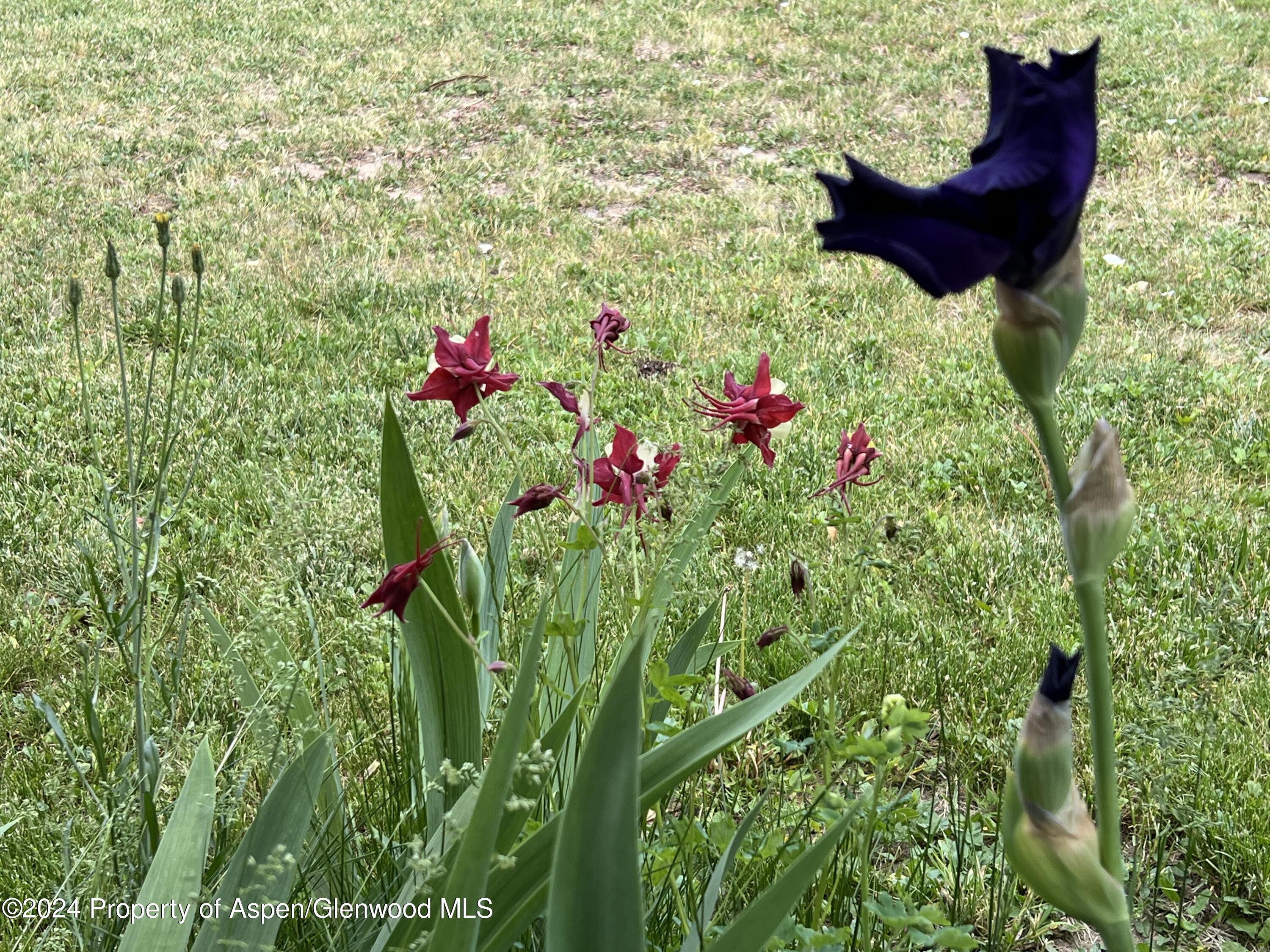 2440 Ute Avenue Rifle CO 81650