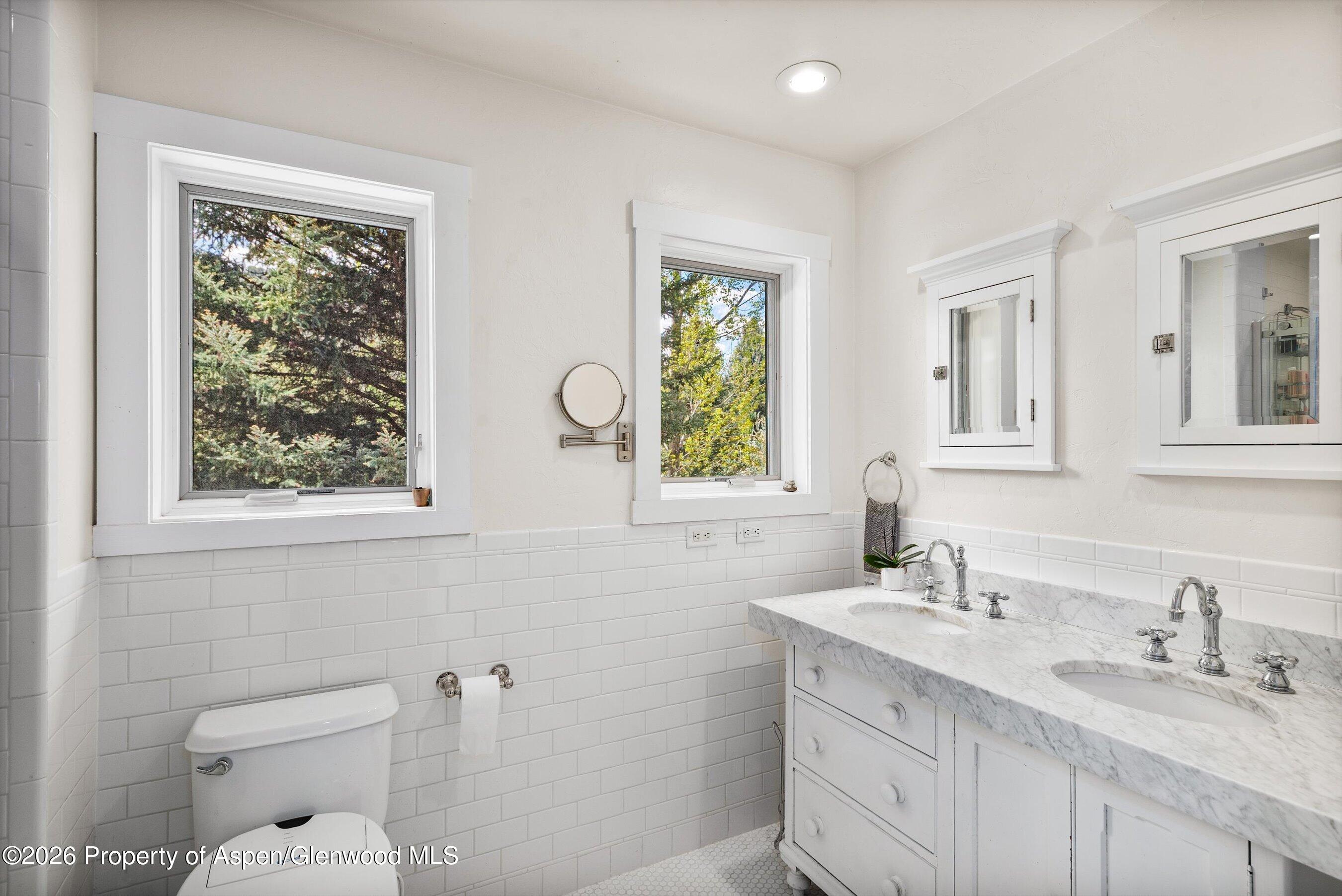 254 Willow Lane Carbondale CO 81623