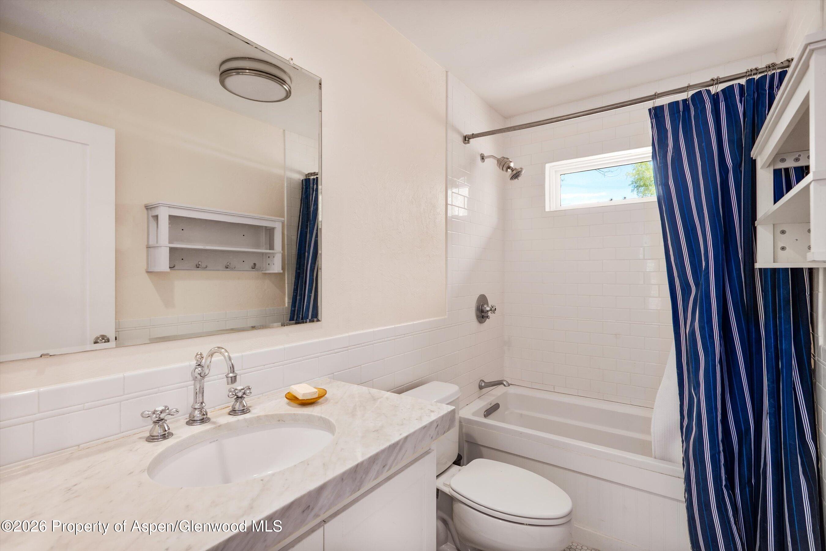 254 Willow Lane Carbondale CO 81623