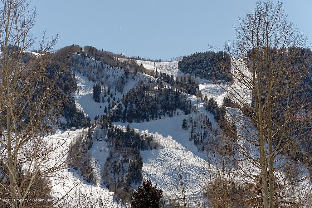 566 Race Street Aspen CO 81611