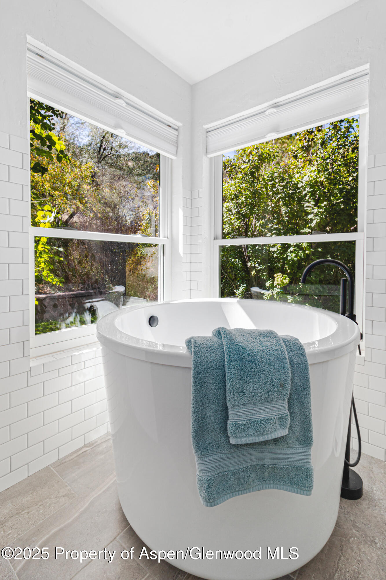 732 Huebinger Drive Glenwood Springs CO 81601