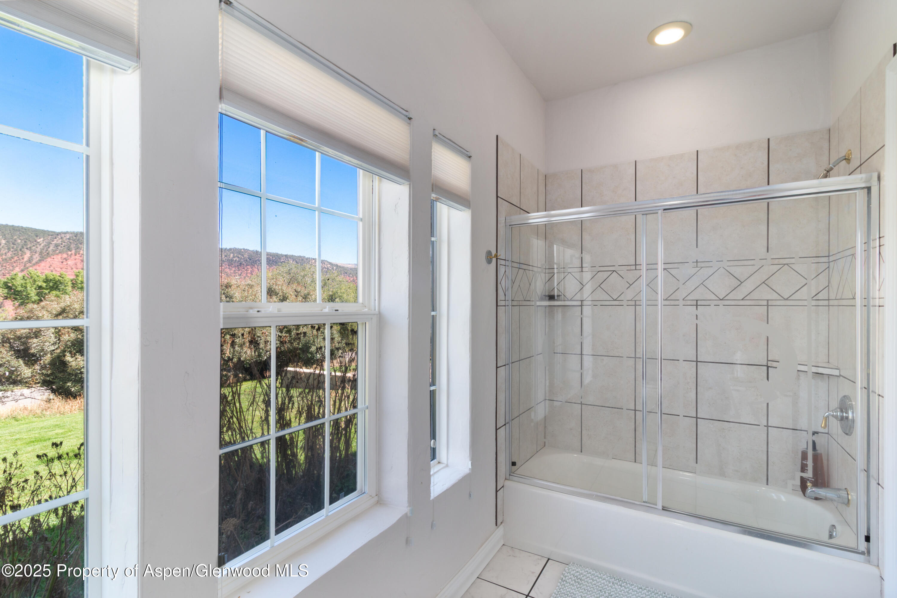 732 Huebinger Drive Glenwood Springs CO 81601