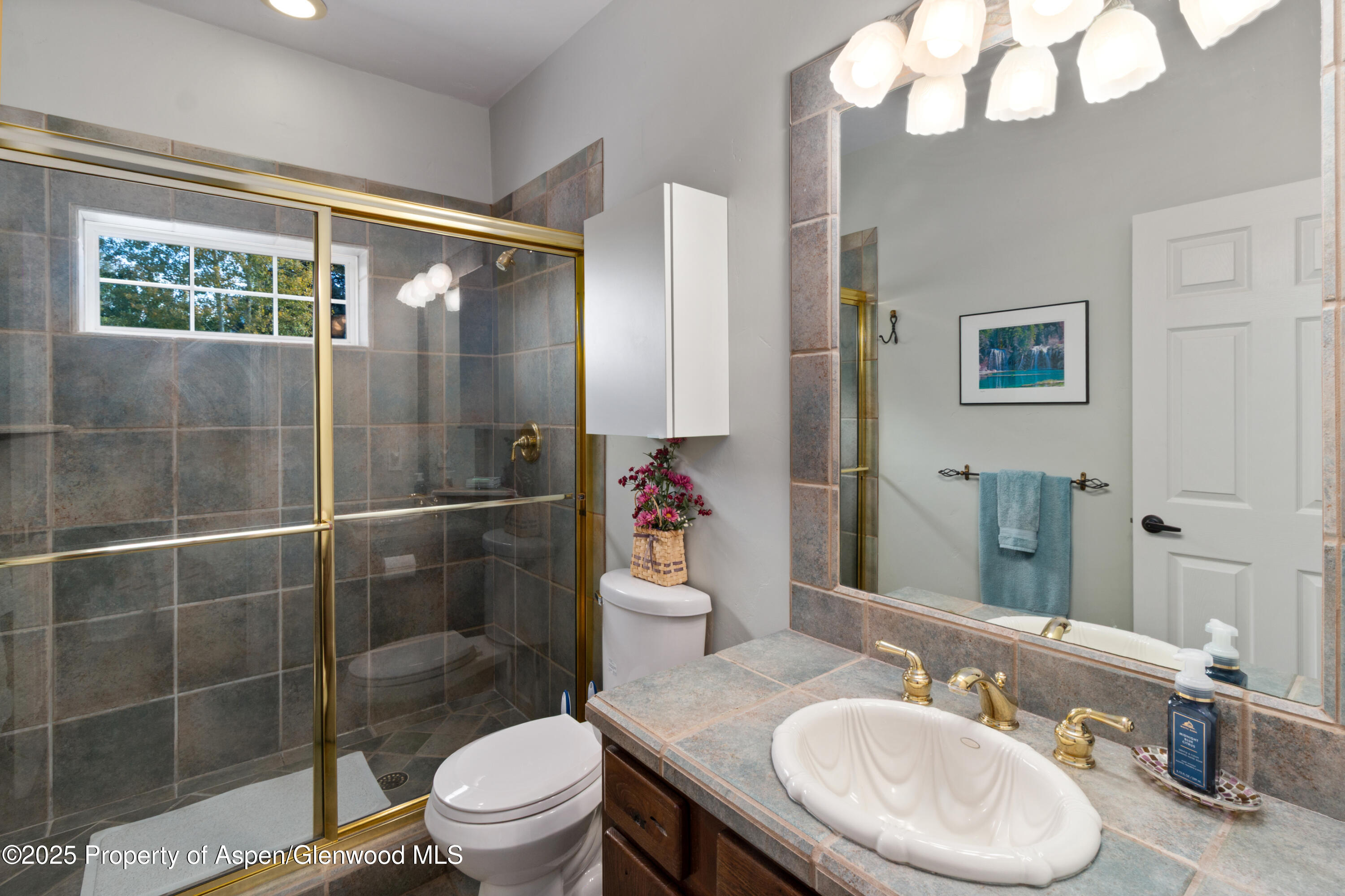 732 Huebinger Drive Glenwood Springs CO 81601