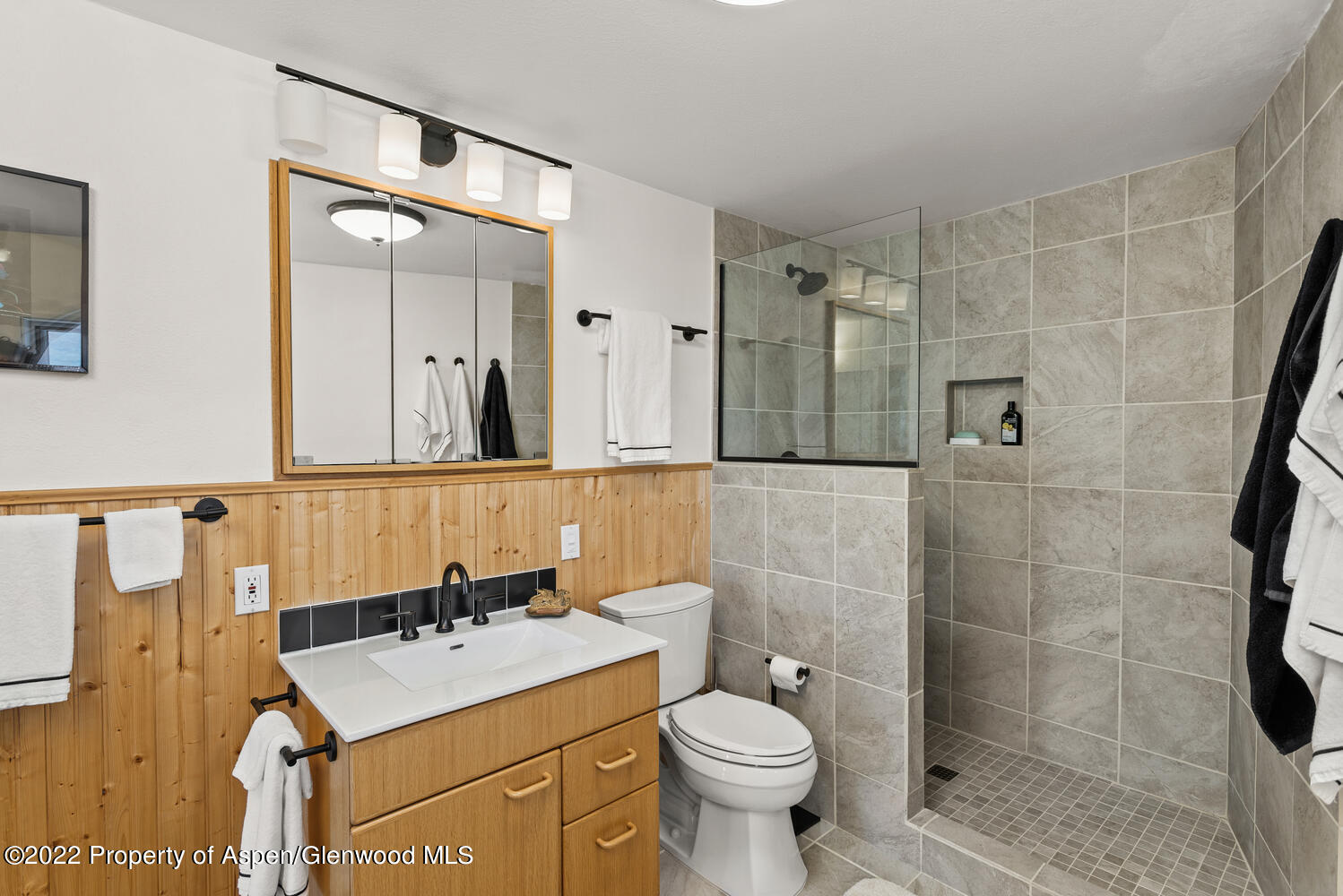 90 Sunrise Lane Carbondale CO 81623