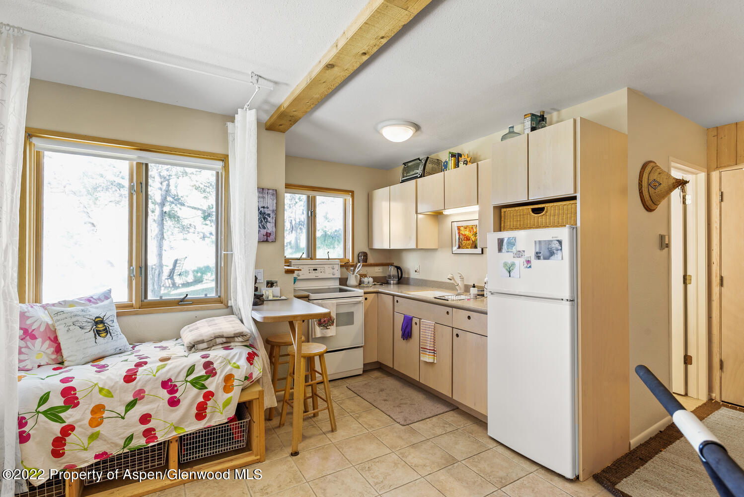 90 Sunrise Lane Carbondale CO 81623
