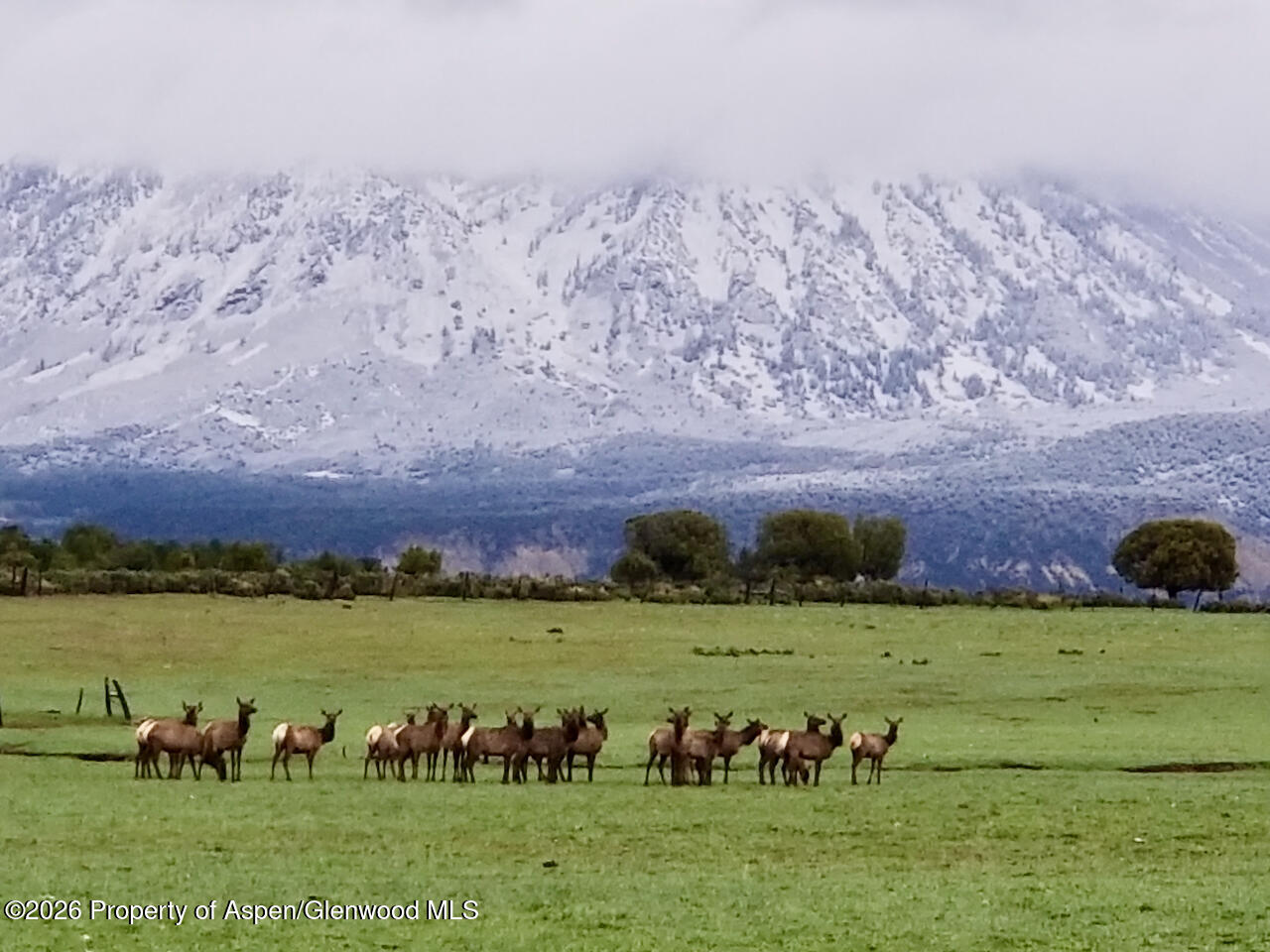 2637 7750 Road Crawford CO 81415