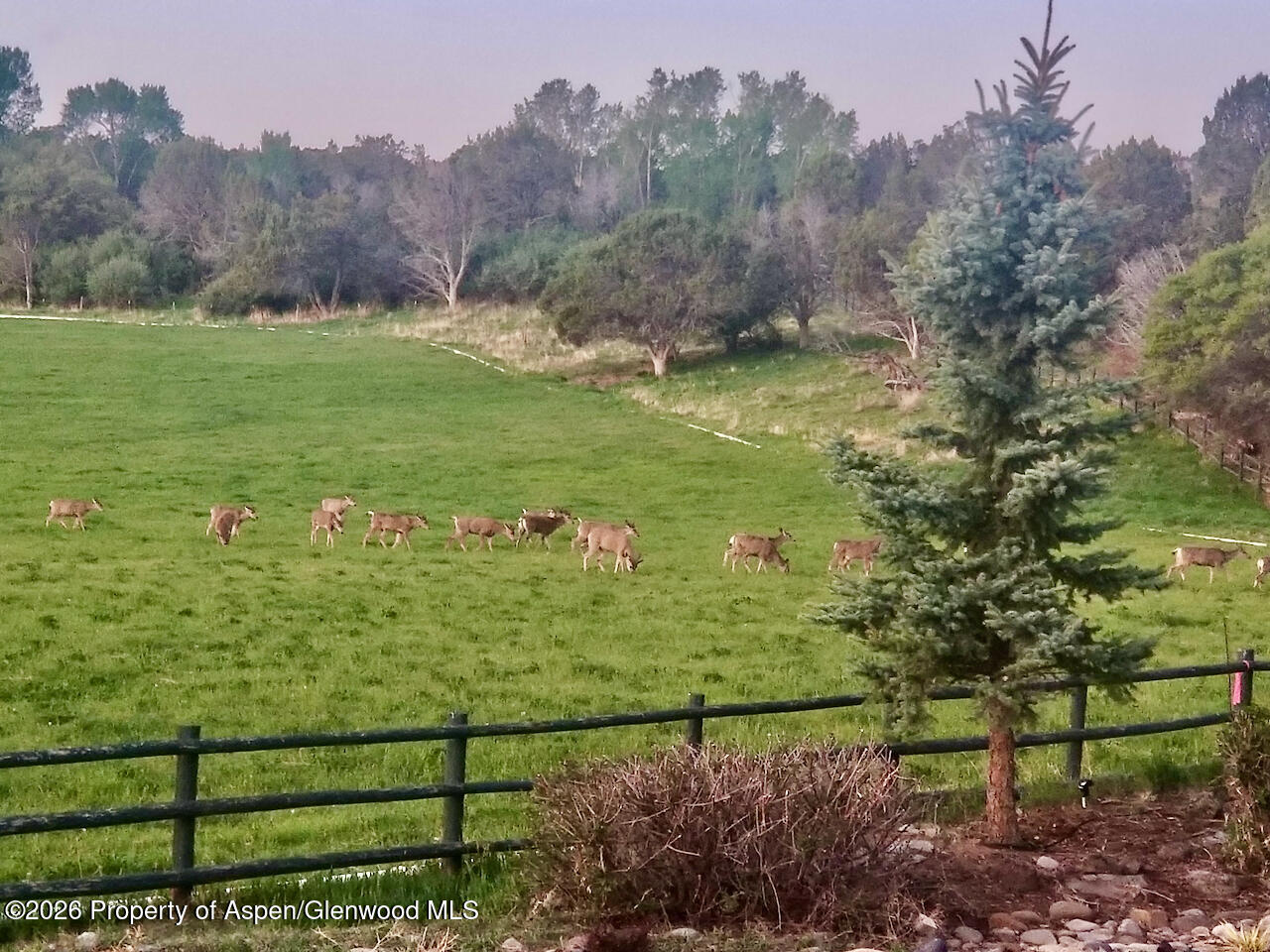 2637 7750 Road Crawford CO 81415