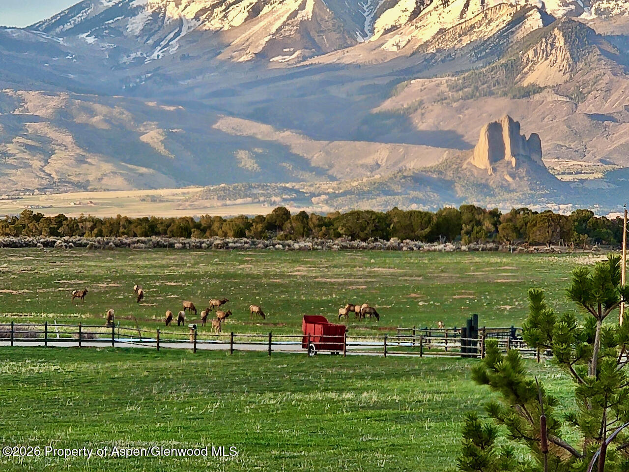 2637 7750 Road Crawford CO 81415