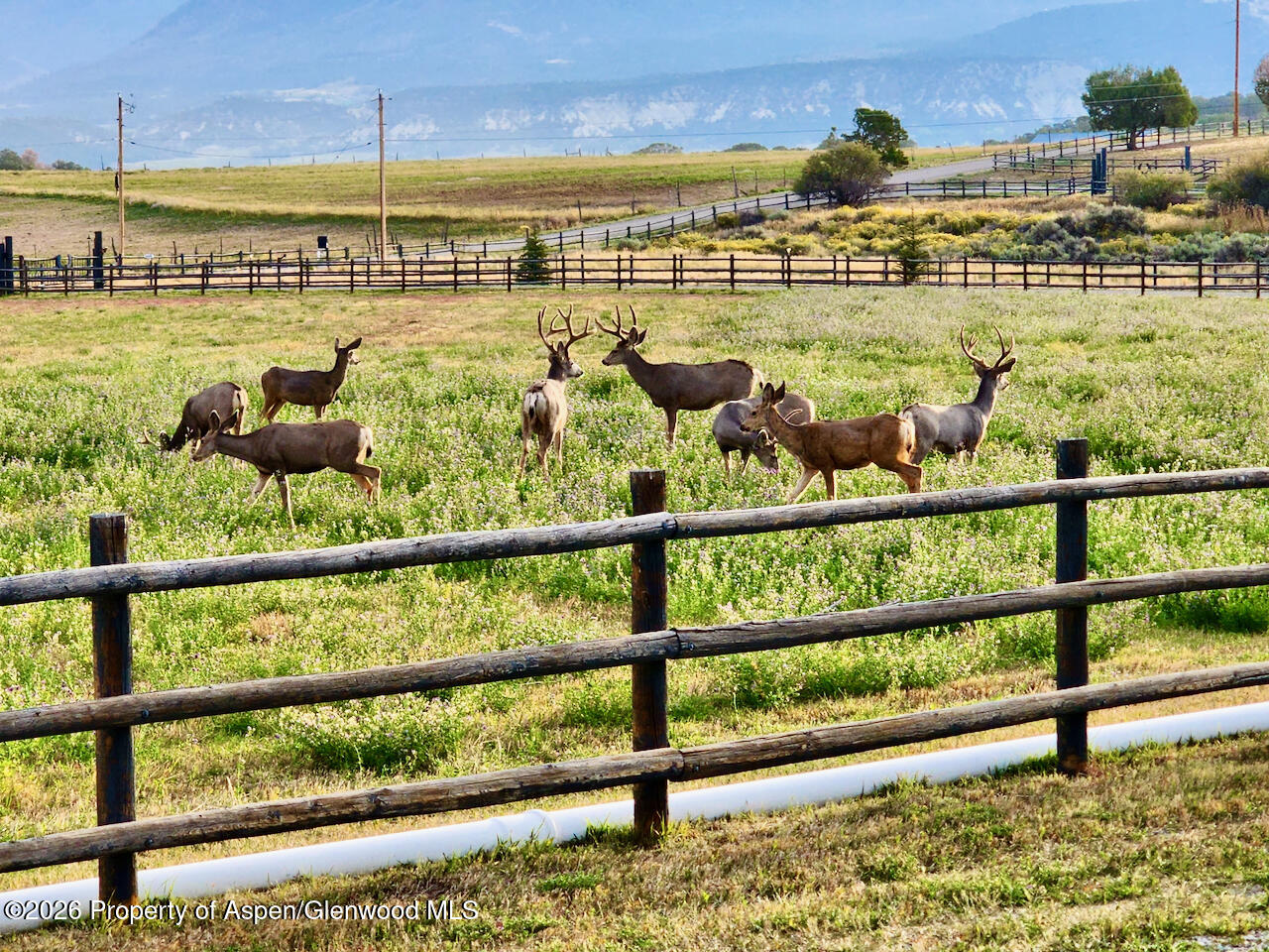 2637 7750 Road Crawford CO 81415