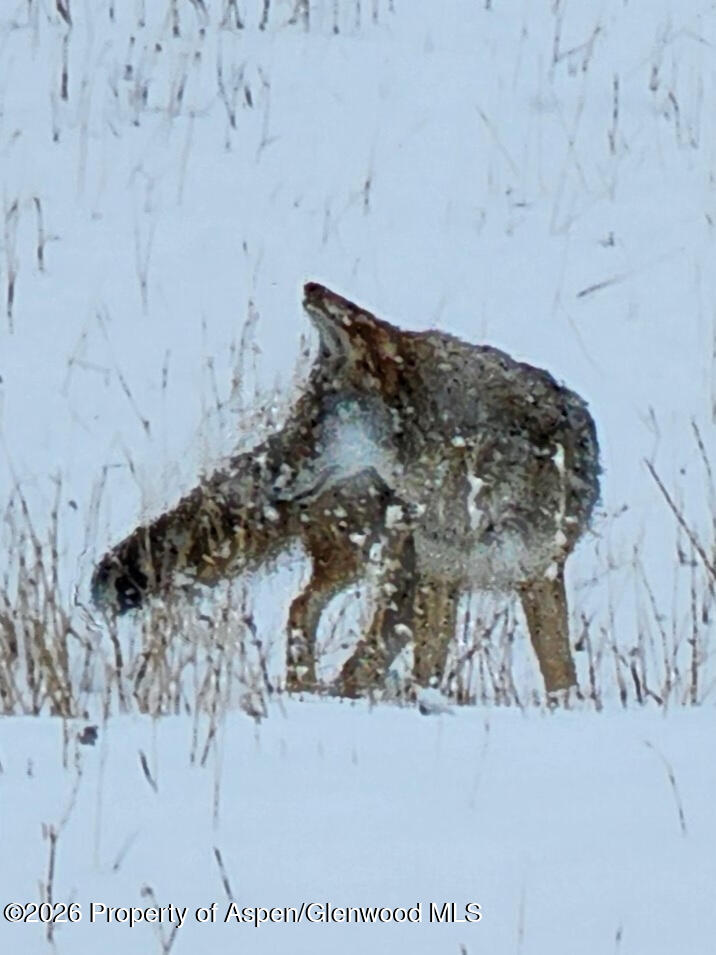 2637 7750 Road Crawford CO 81415