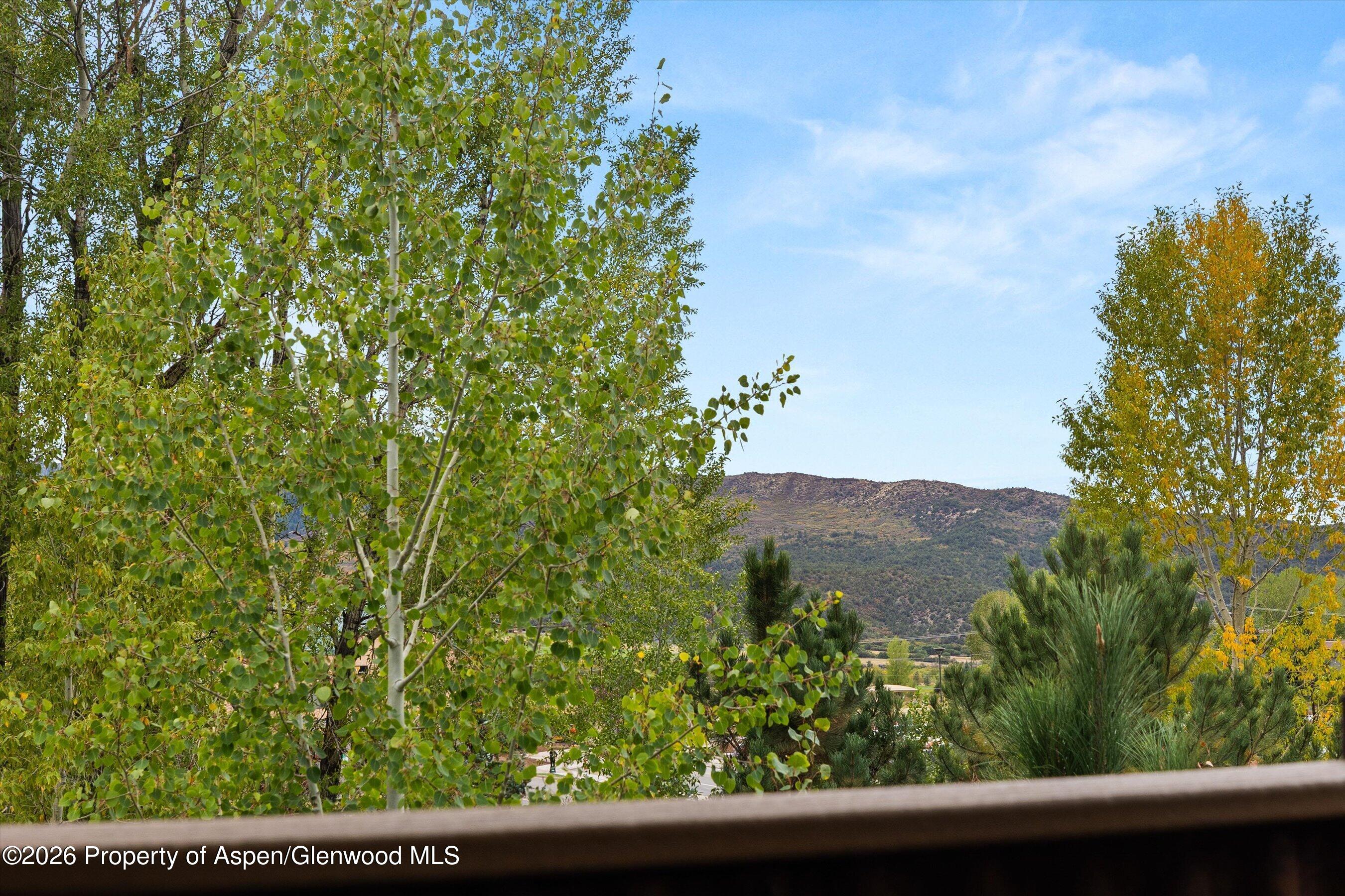 118 Juniper Trail Carbondale CO 81623