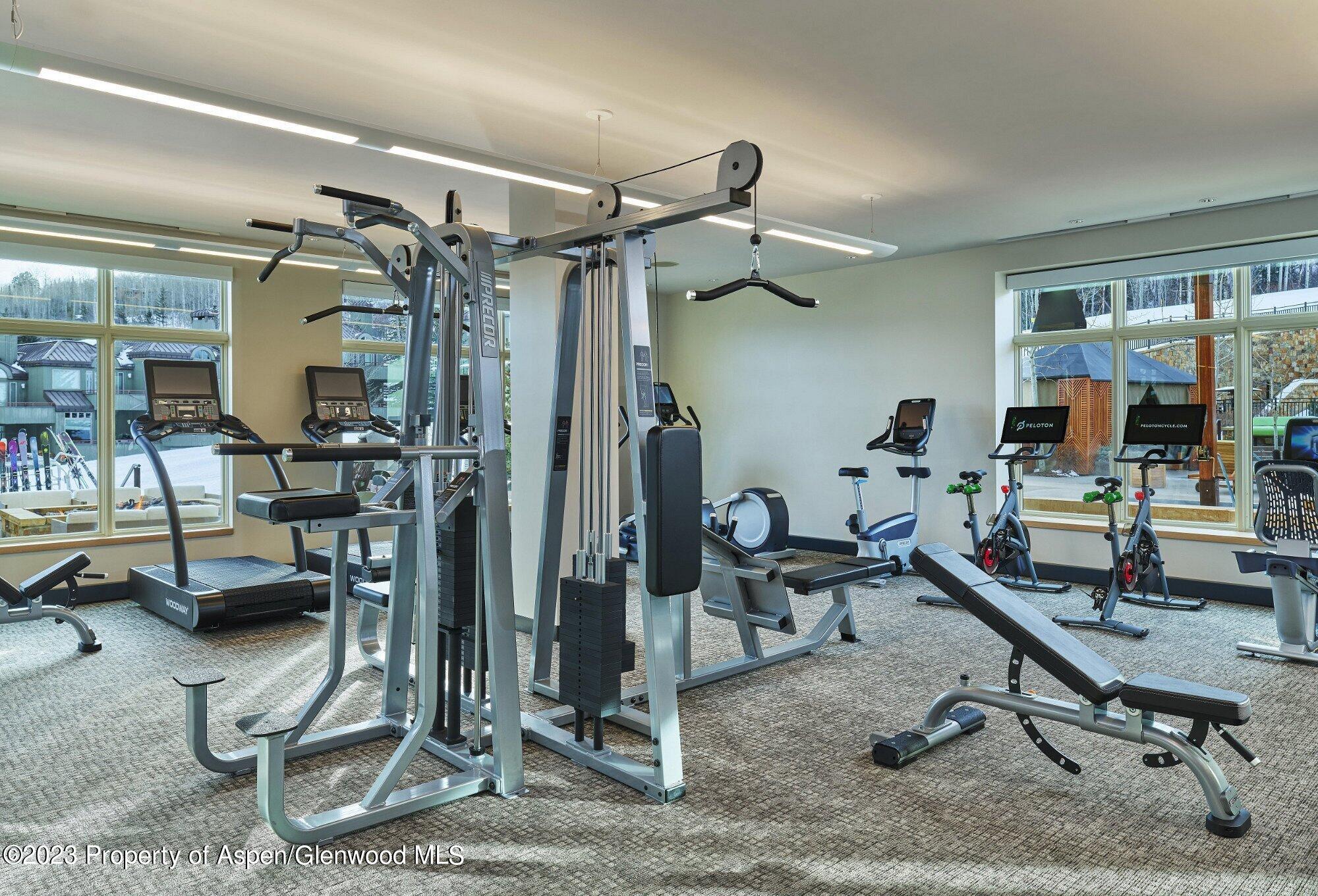 130 Wood Road Snowmass Village CO 81615