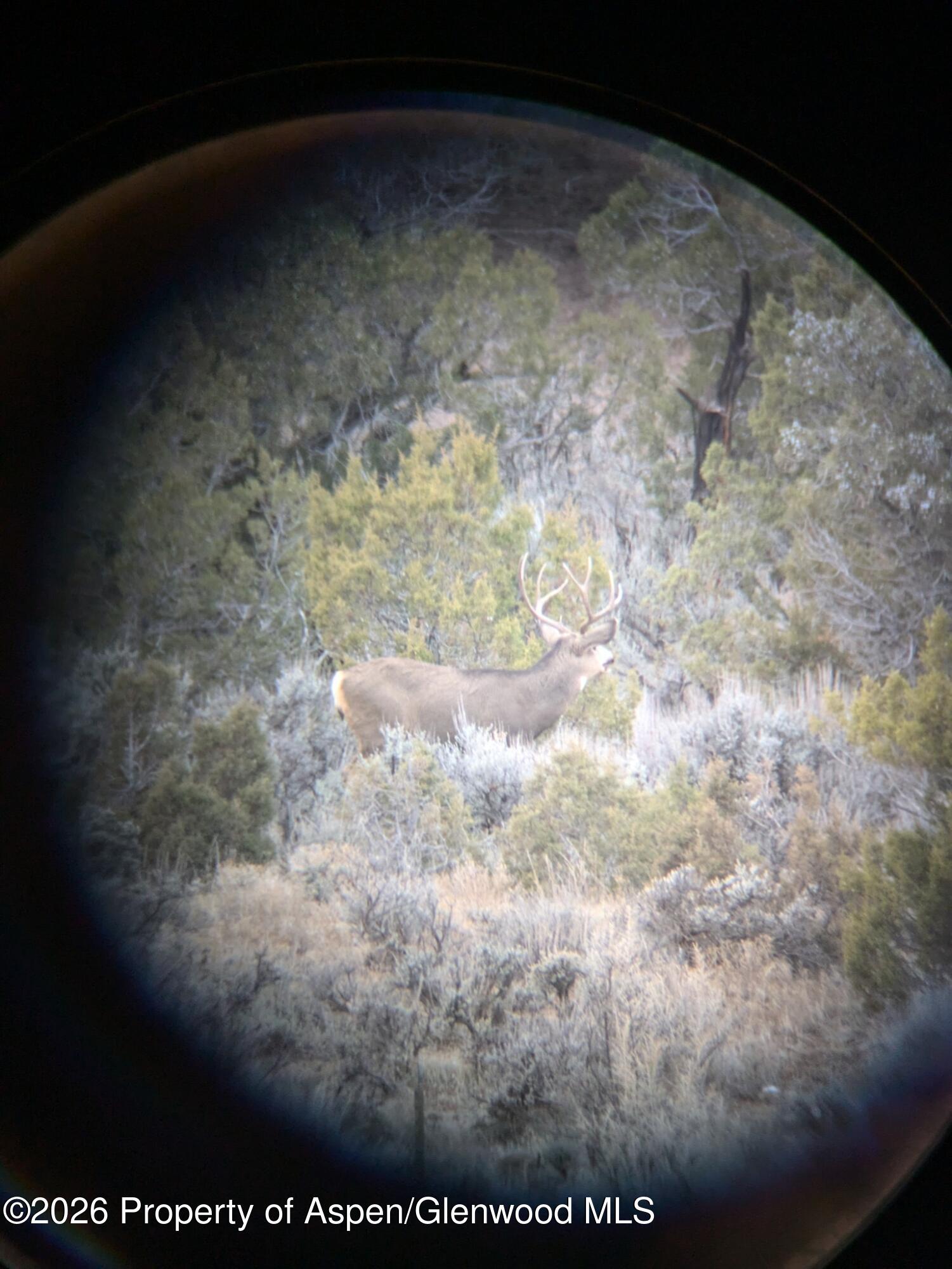 15086 45 1/2 Road Mesa CO 81643