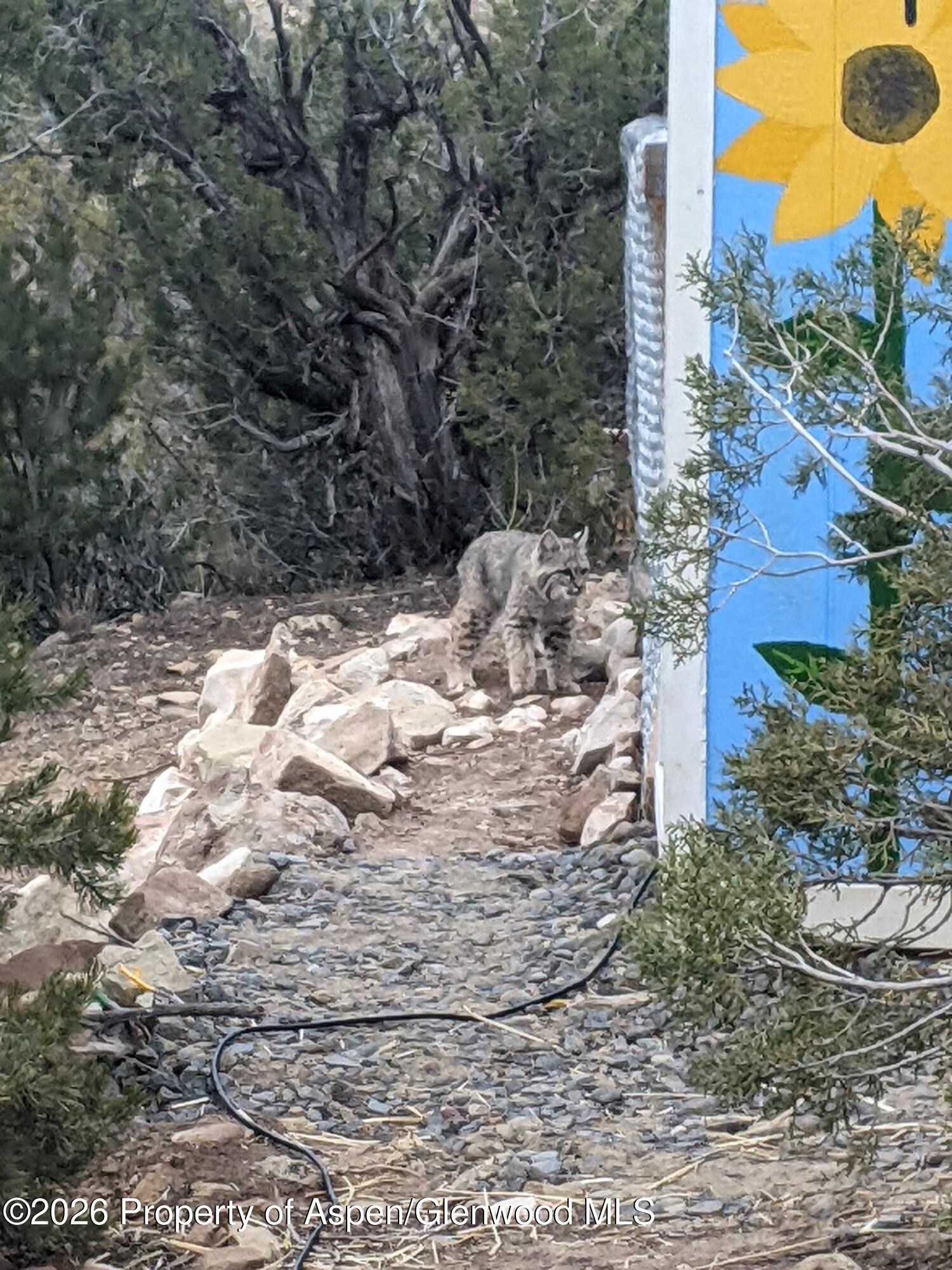 15086 45 1/2 Road Mesa CO 81643