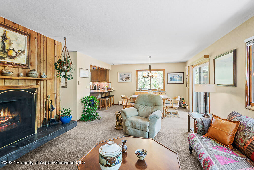 902 Red Mountain Drive Glenwood Springs CO 81601
