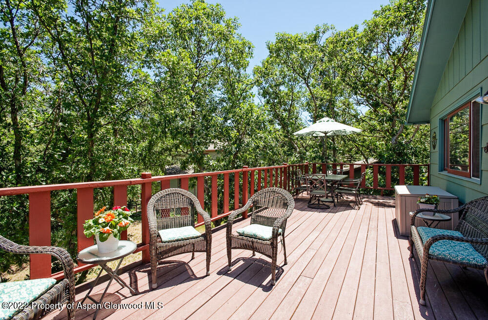 902 Red Mountain Drive Glenwood Springs CO 81601